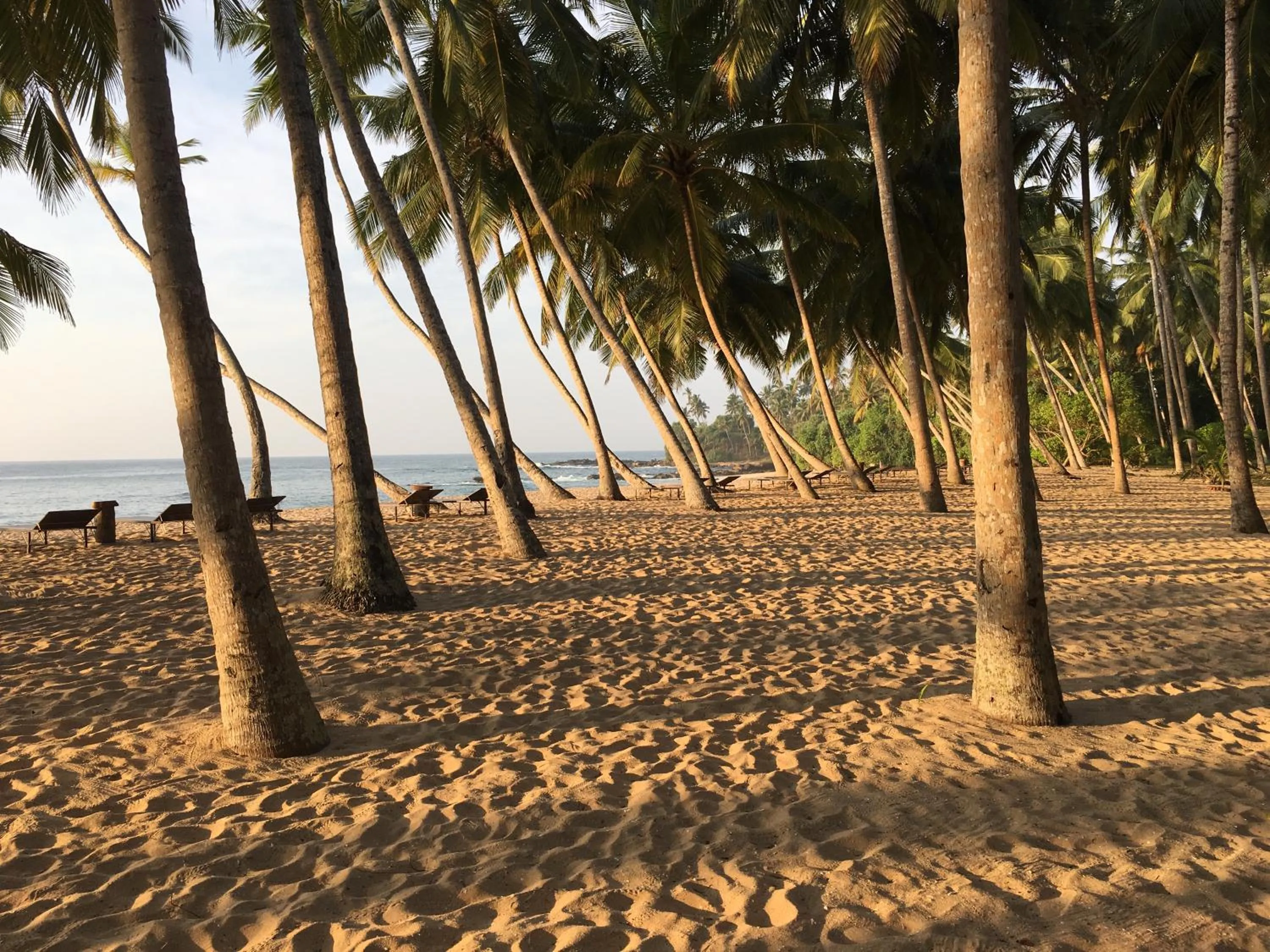 Beach in Little Tamarind