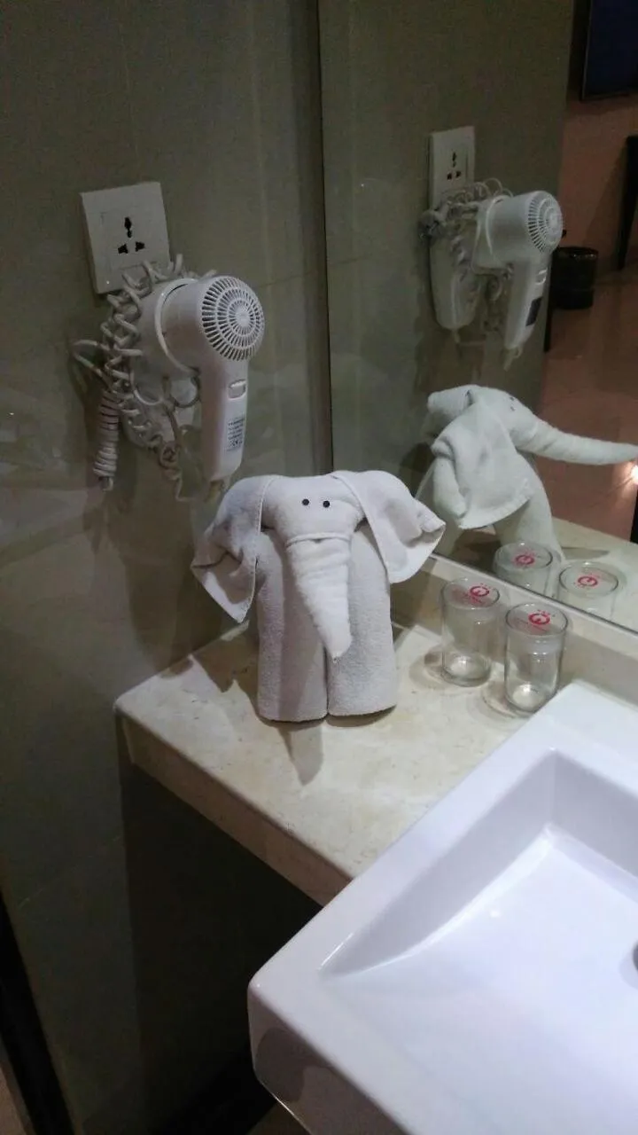 Asialink Premier hotel