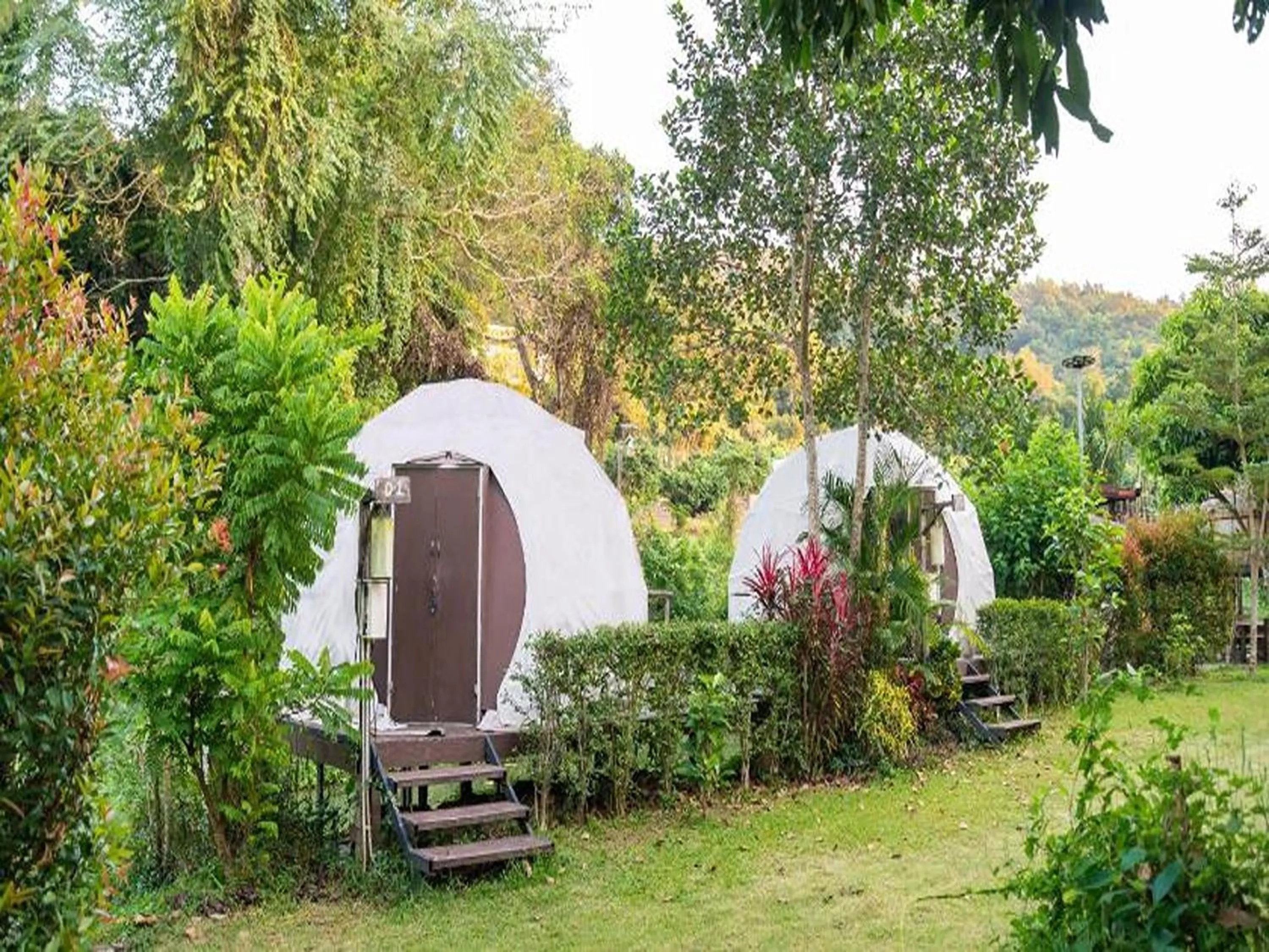 Day in Lion Cafe Resort