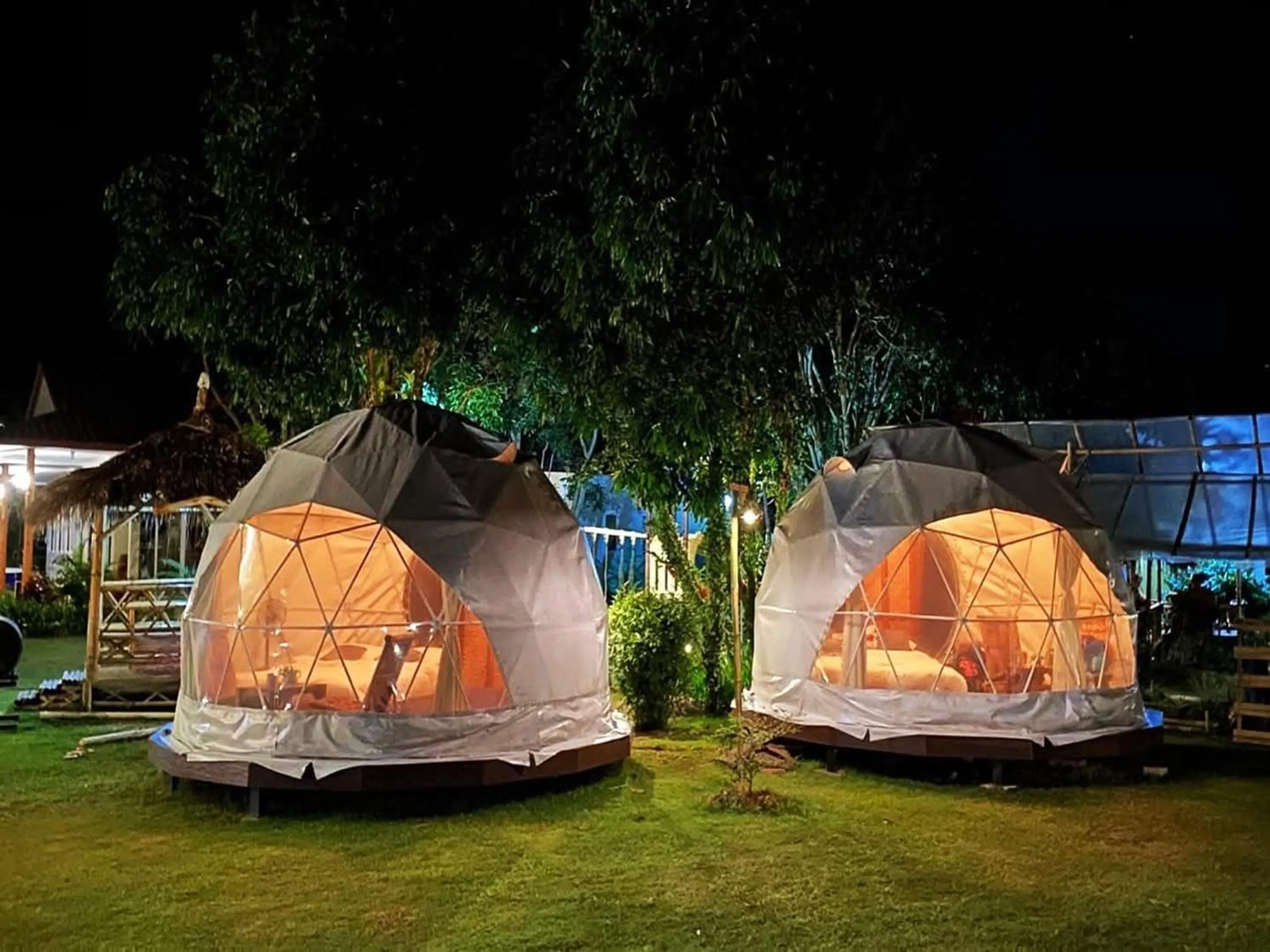 Night in Lion Cafe Resort