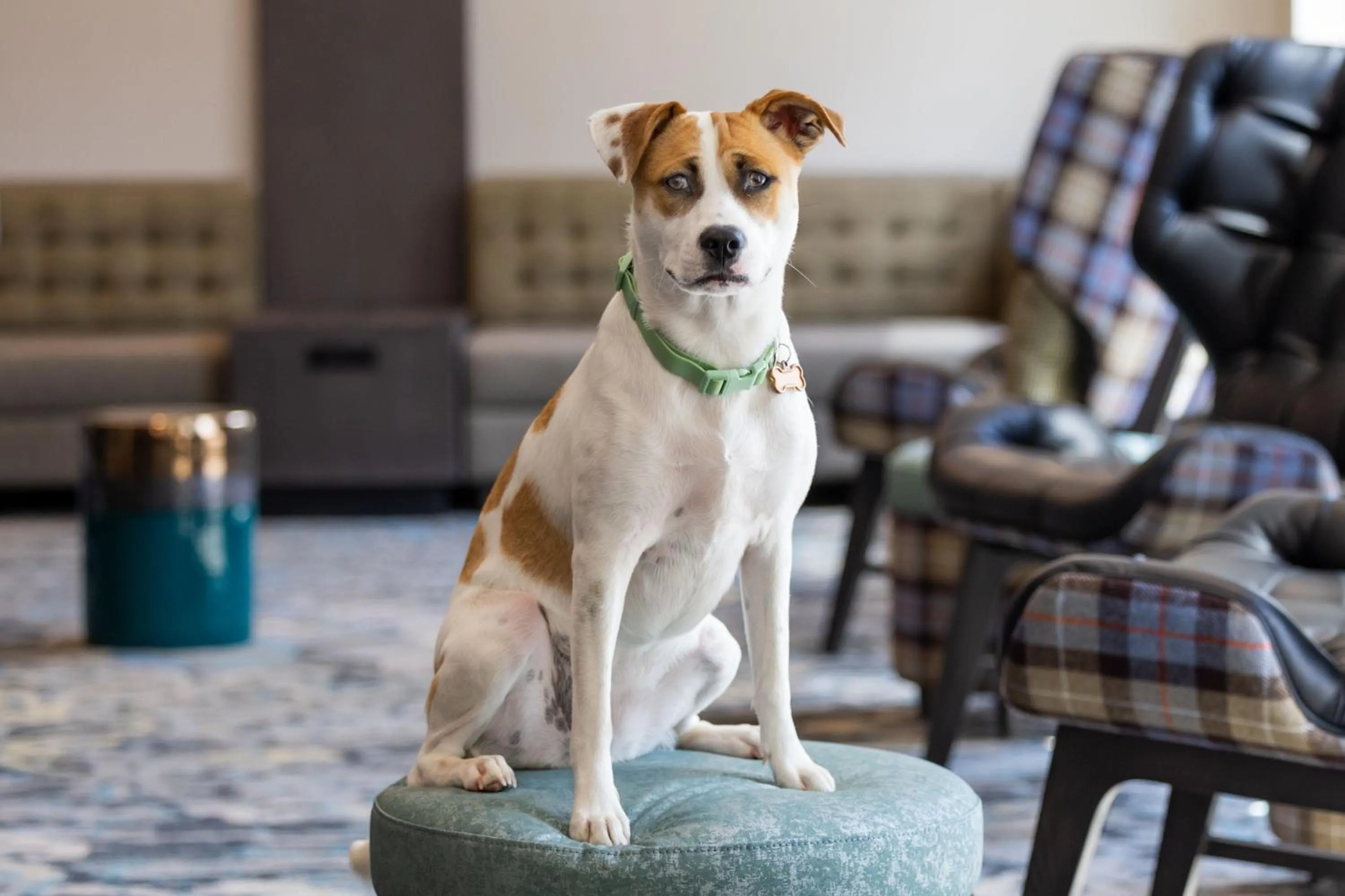Other in Residence Inn by Marriott Durham Duke University Medical Center Area
