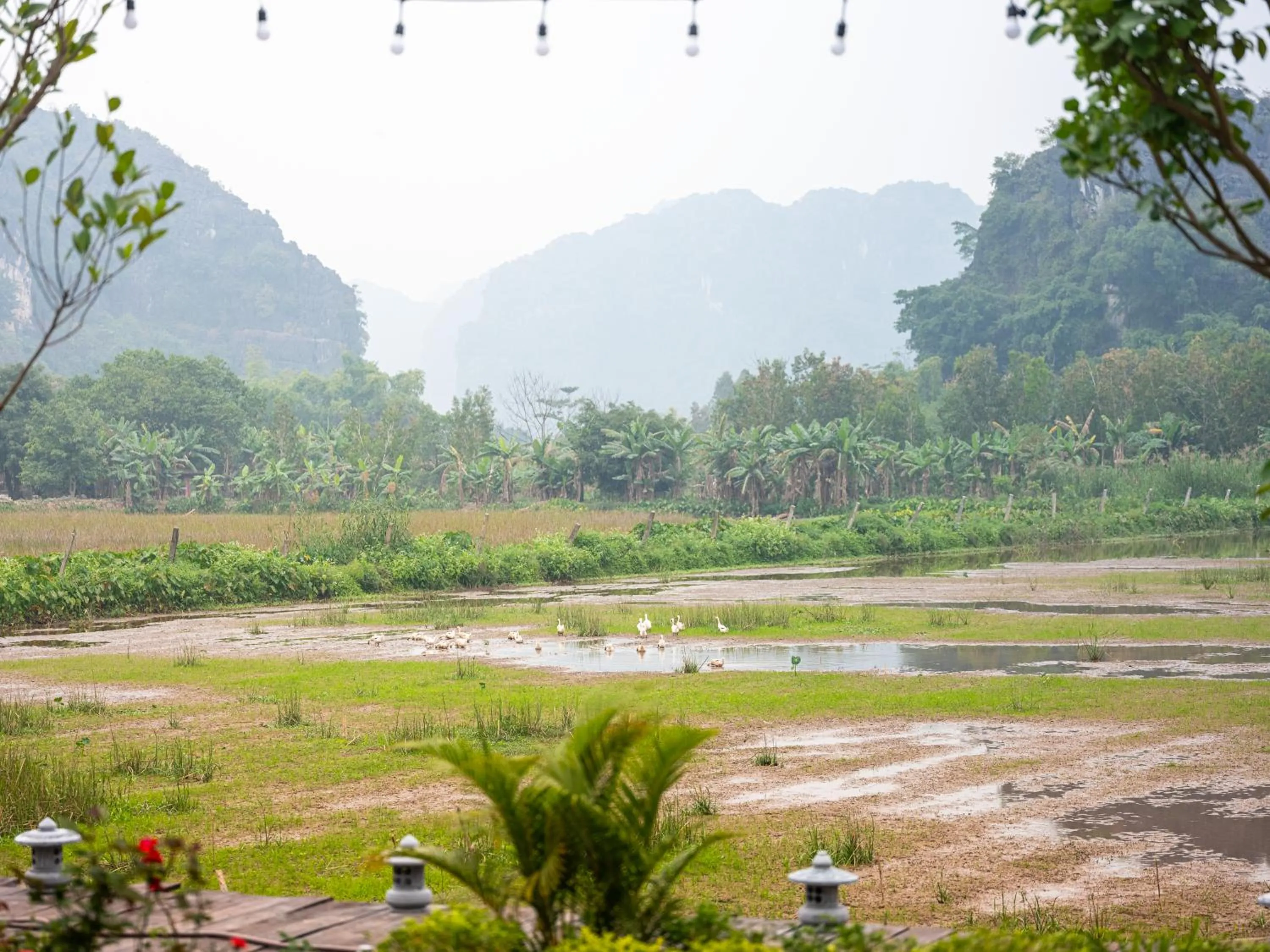 Natural landscape in Ailee Villa&Hotel TamCoc