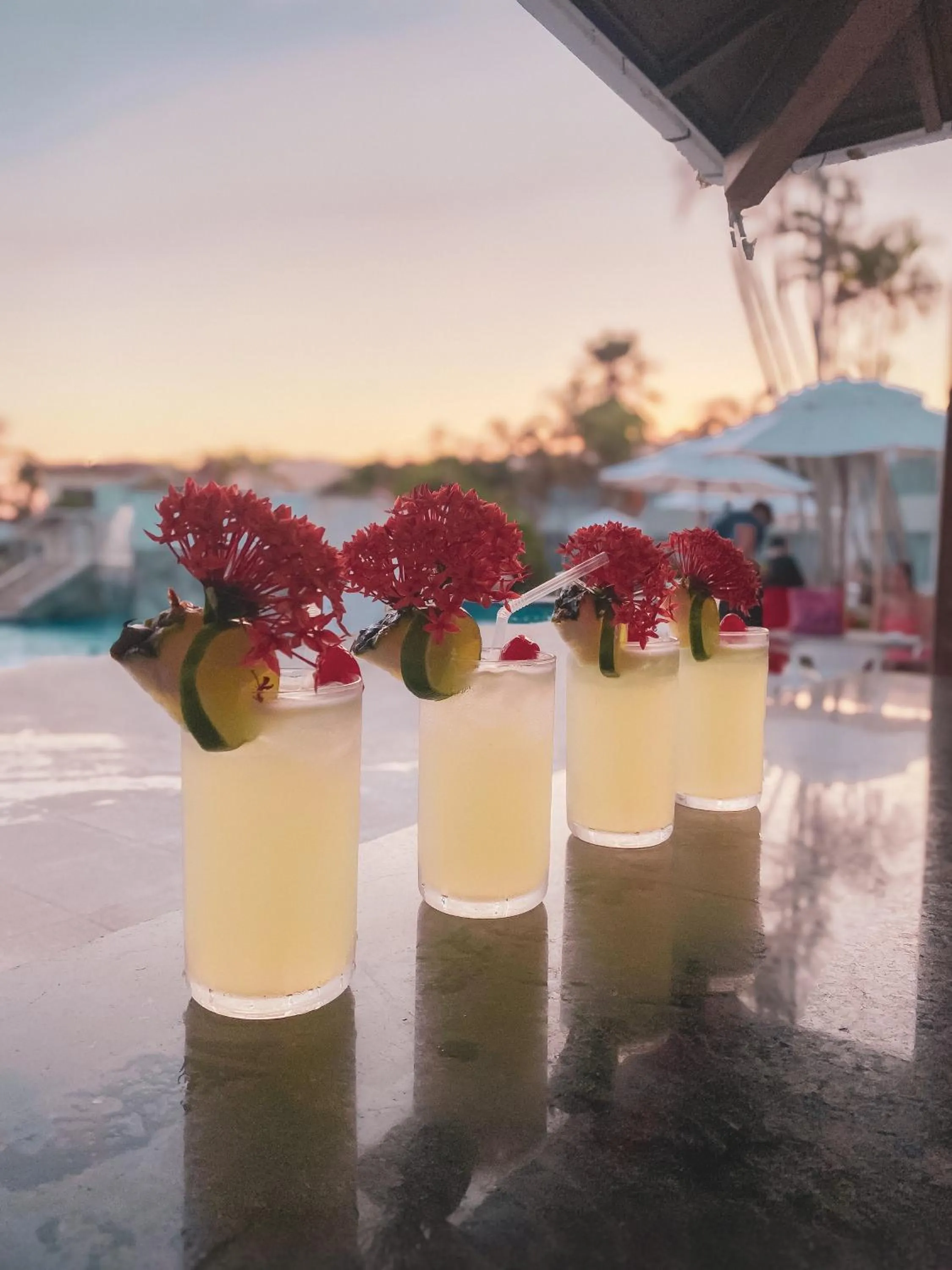 Bosque do Porto Praia Hotel