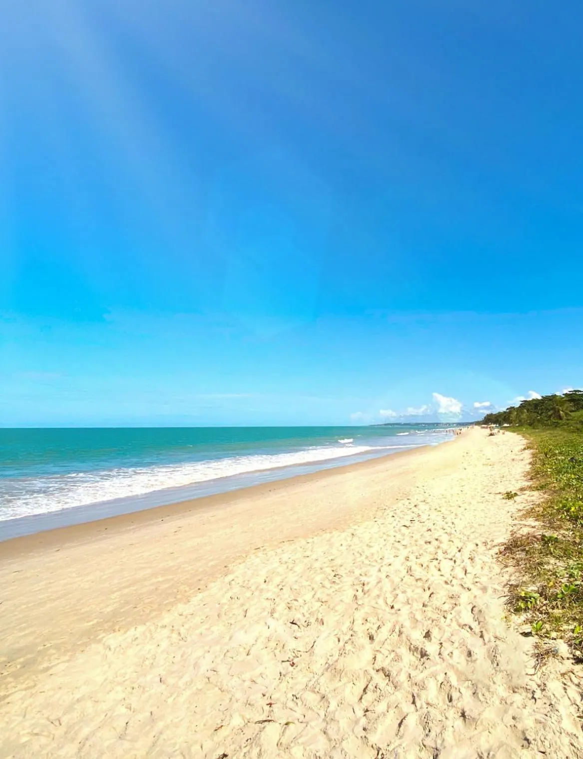 Bosque do Porto Praia Hotel