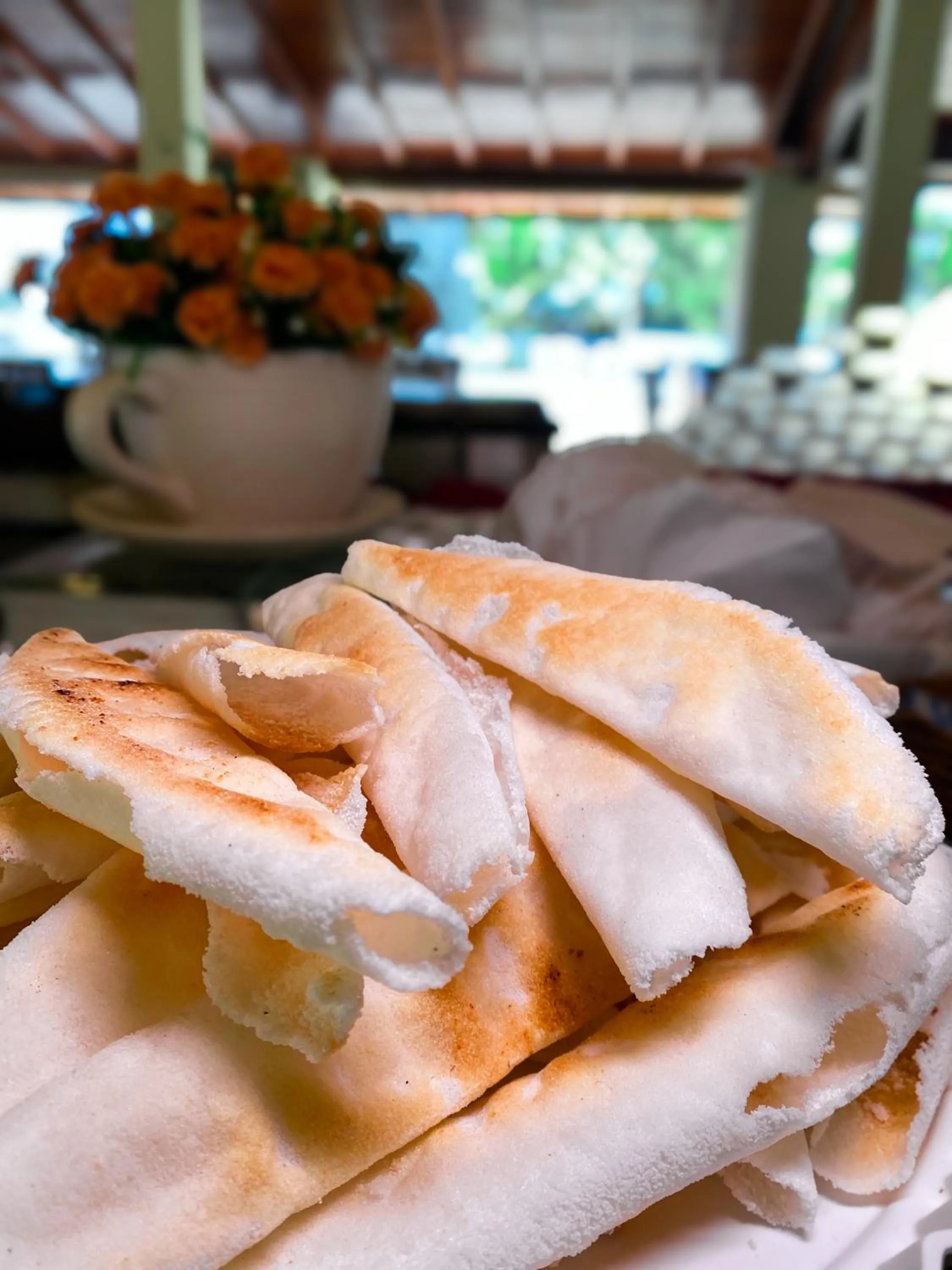 Bosque do Porto Praia Hotel