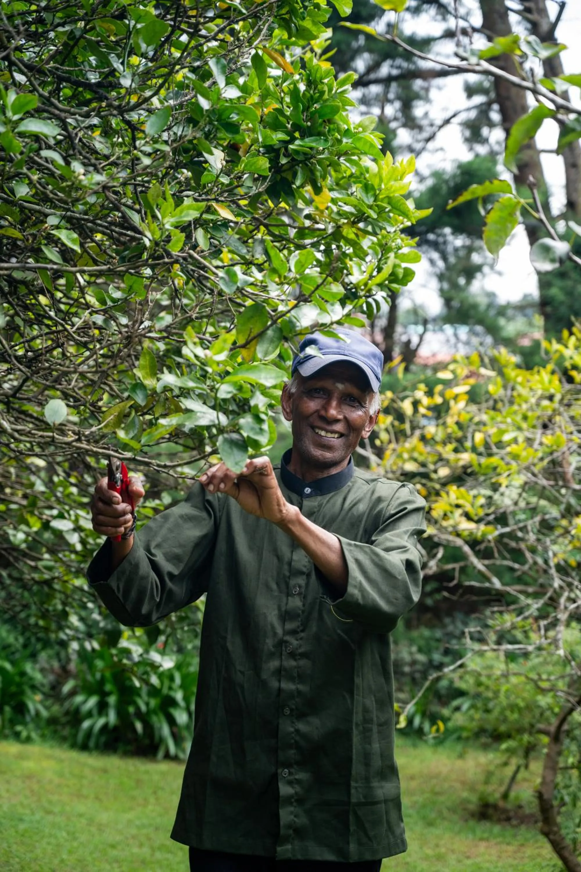 Tathya Hills - Luxe Garden Retreat In The Hills