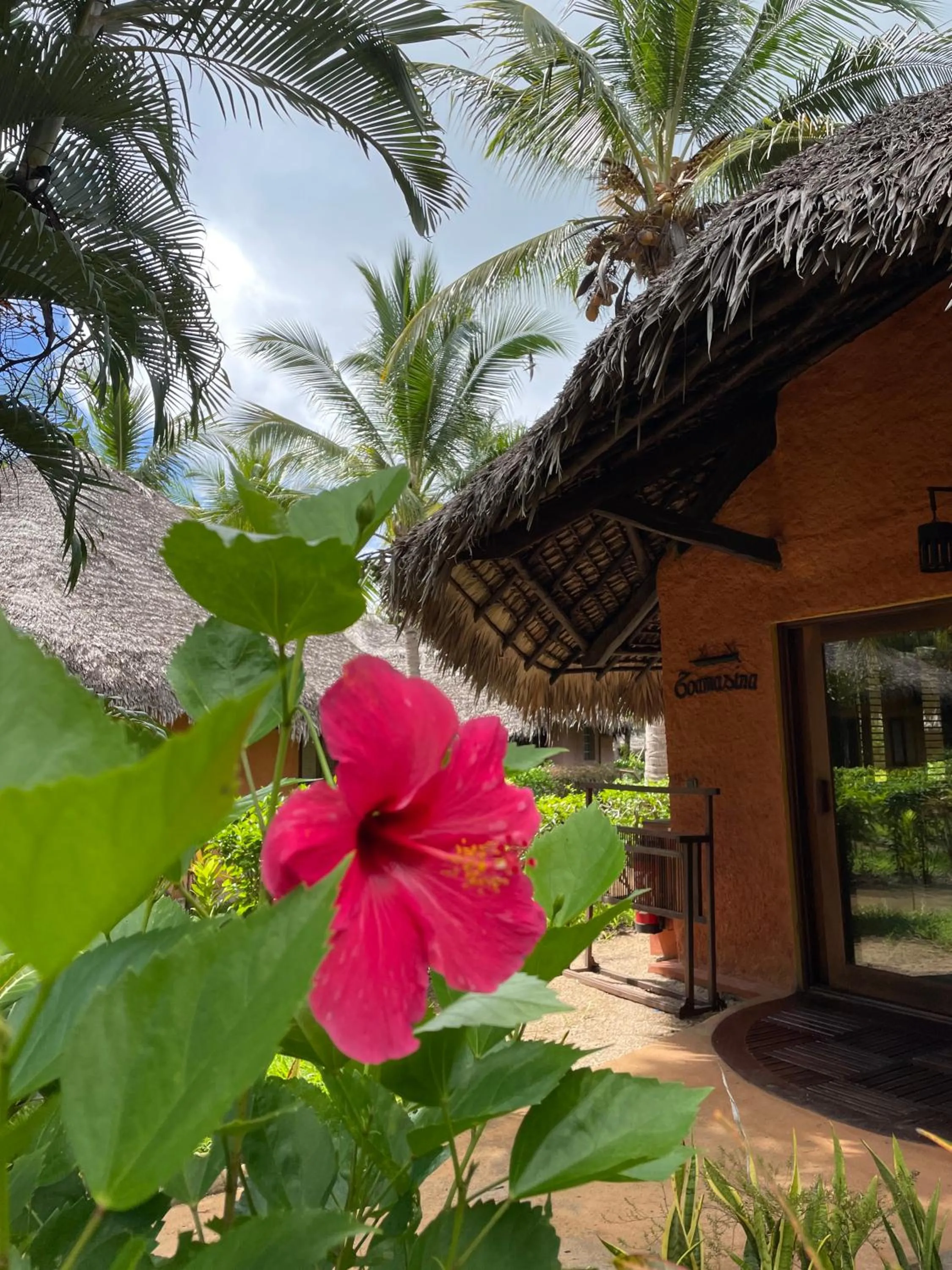 View (from property/room) in Ravintsara Wellness Hotel