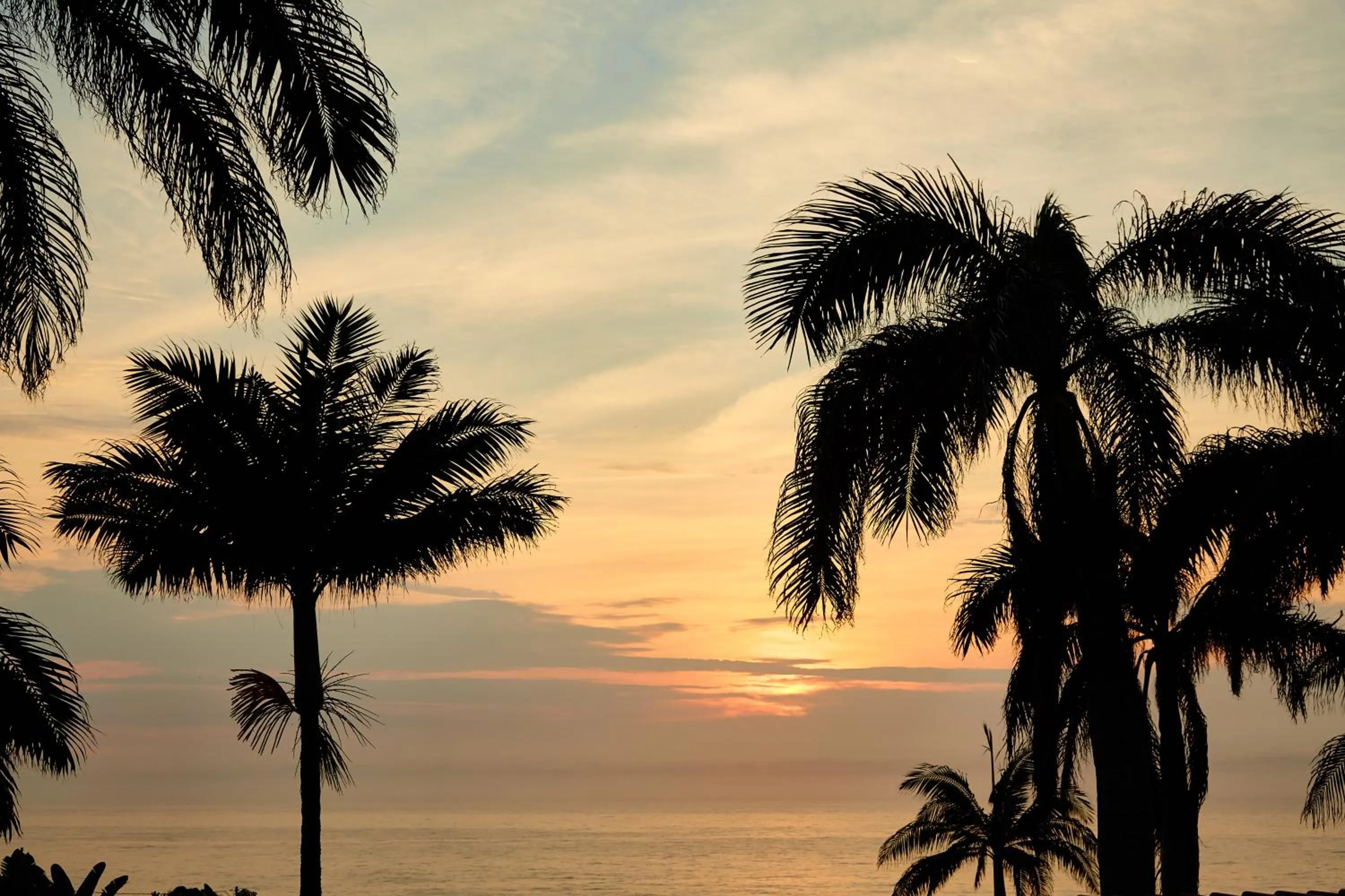 Natural landscape in First Group Chaka's Rock Chalets