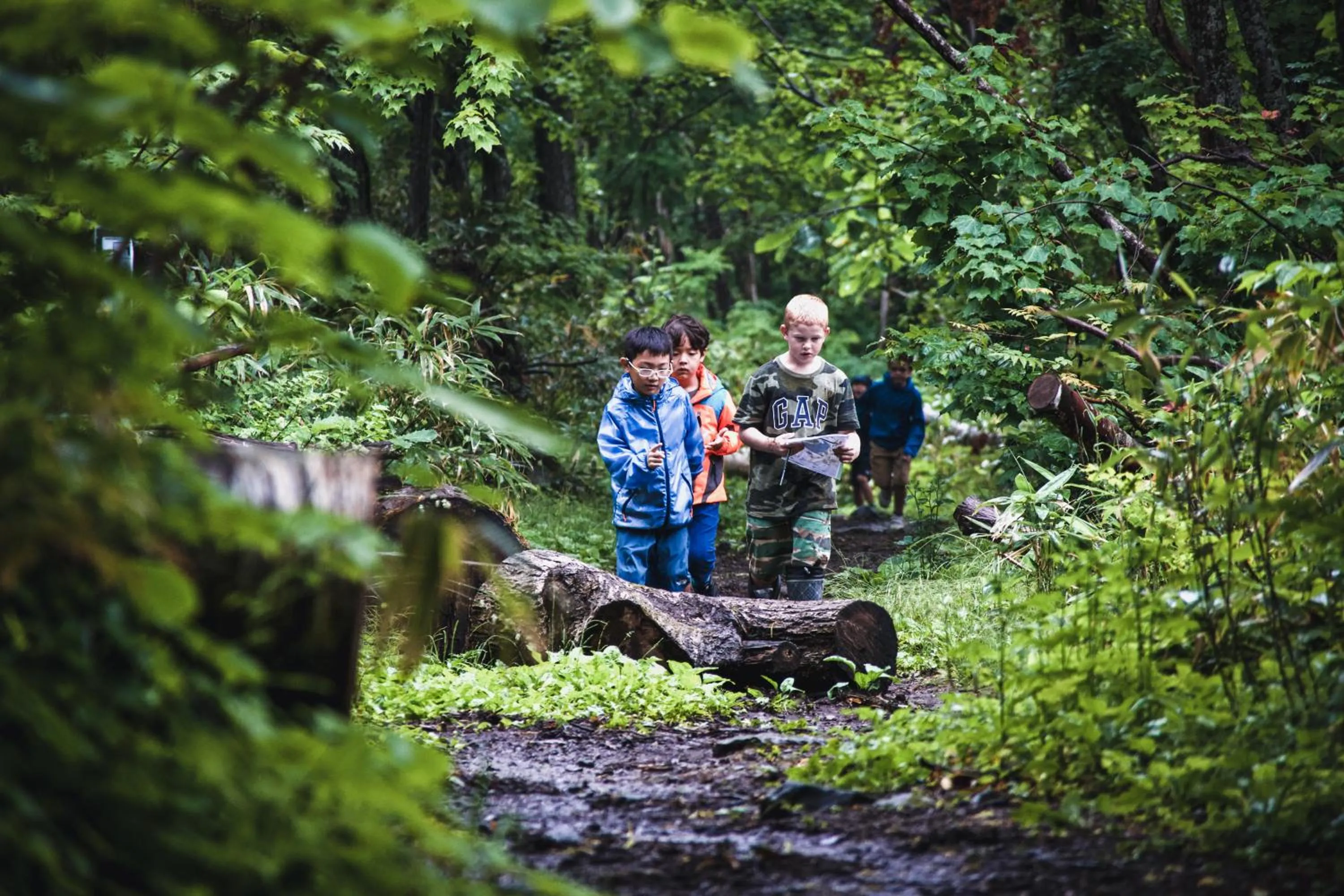 Activities in Akazora