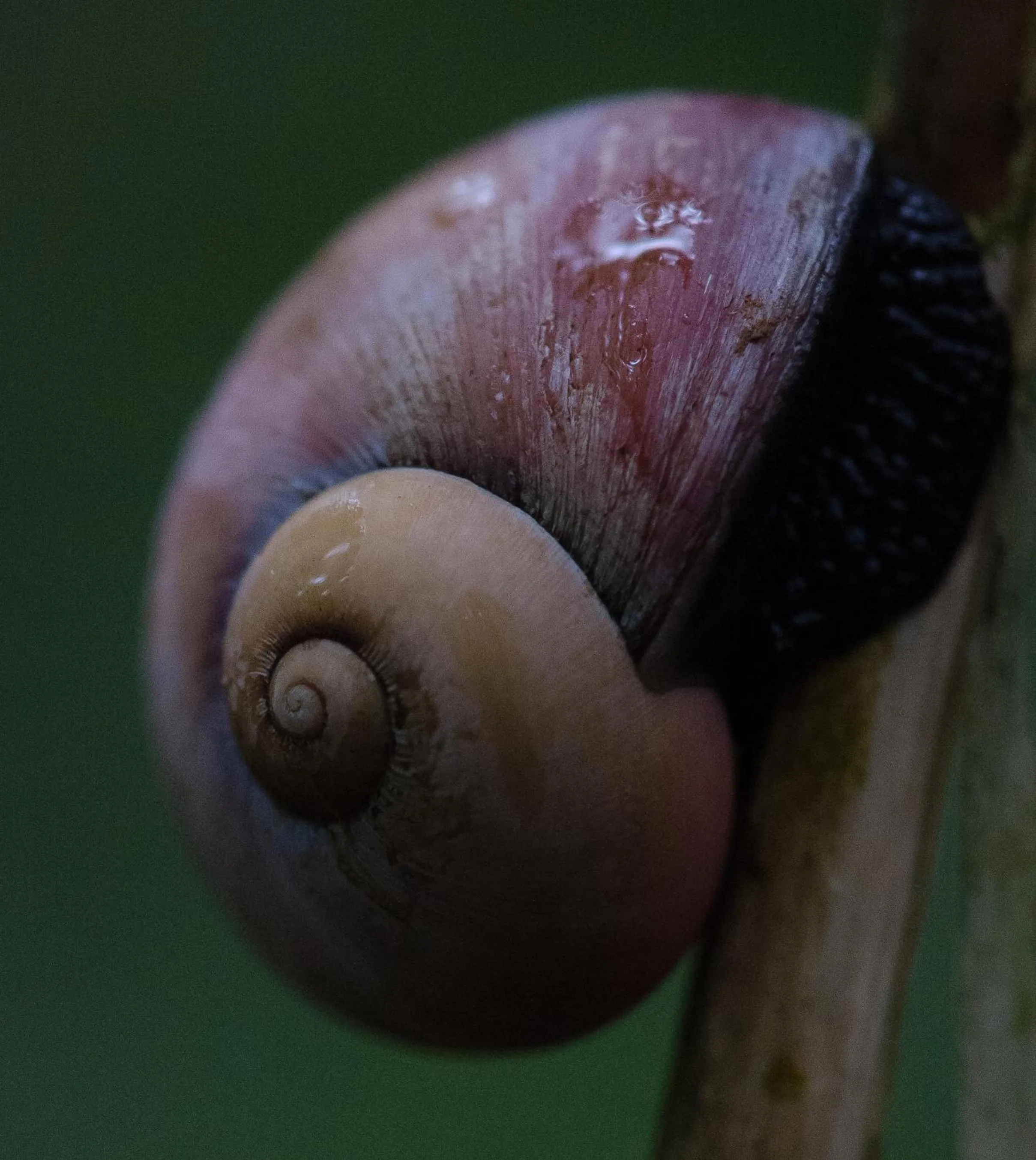 Other in Sinharaja Hostel