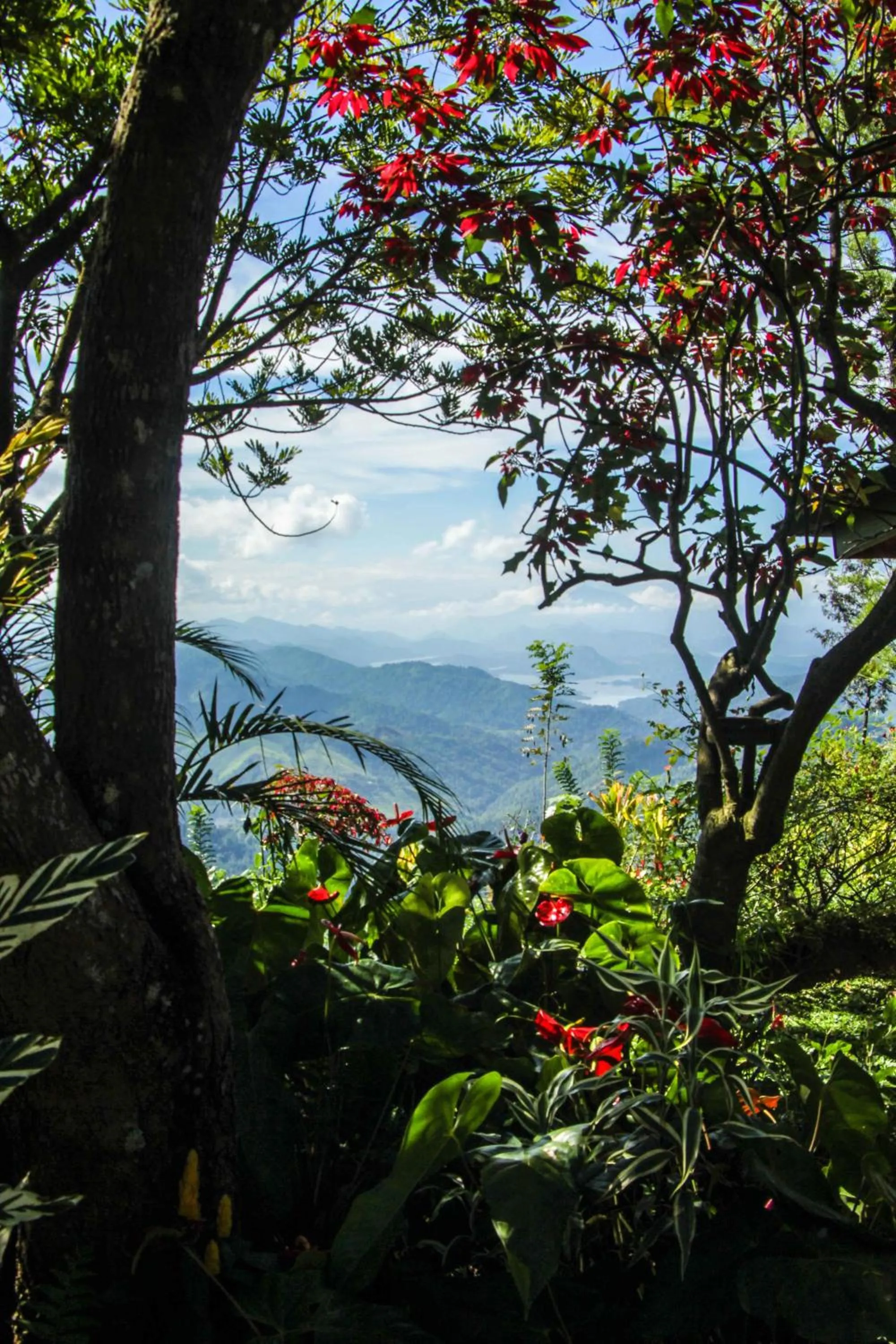 Lake view in Hatale Mini World's End Bungalow