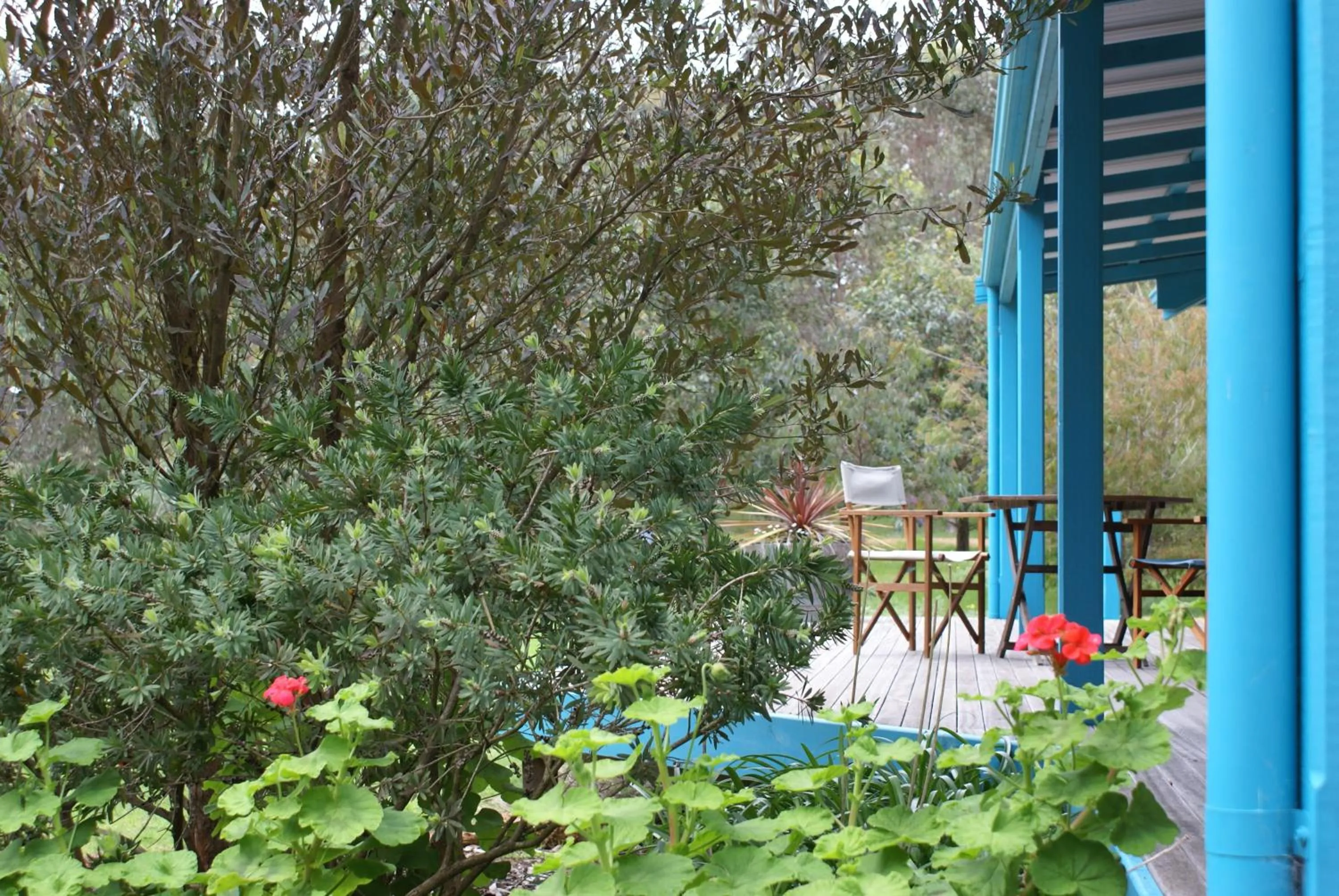 Spring in Ellensbrook Cottages