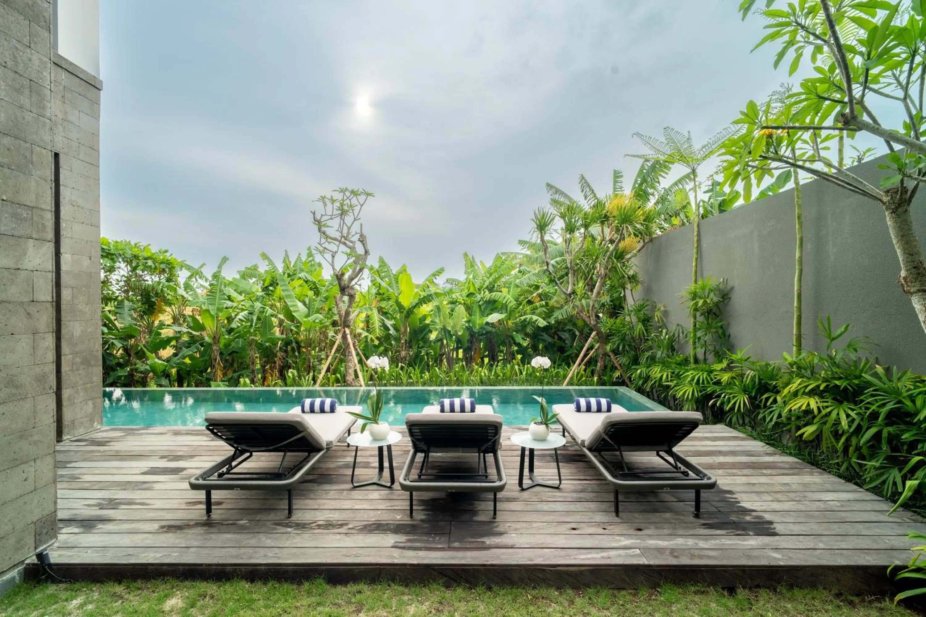 Swimming pool in The Line Canggu