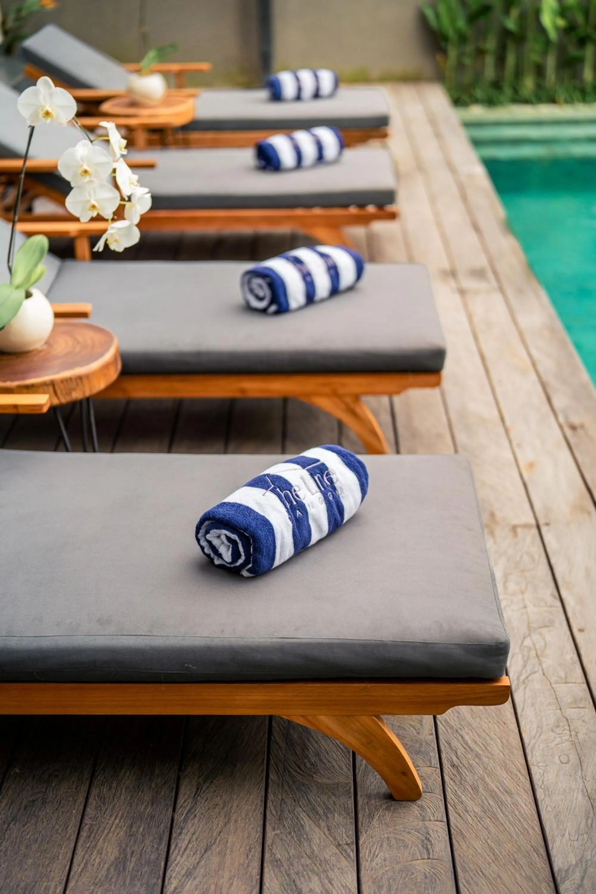 Swimming pool in The Line Canggu