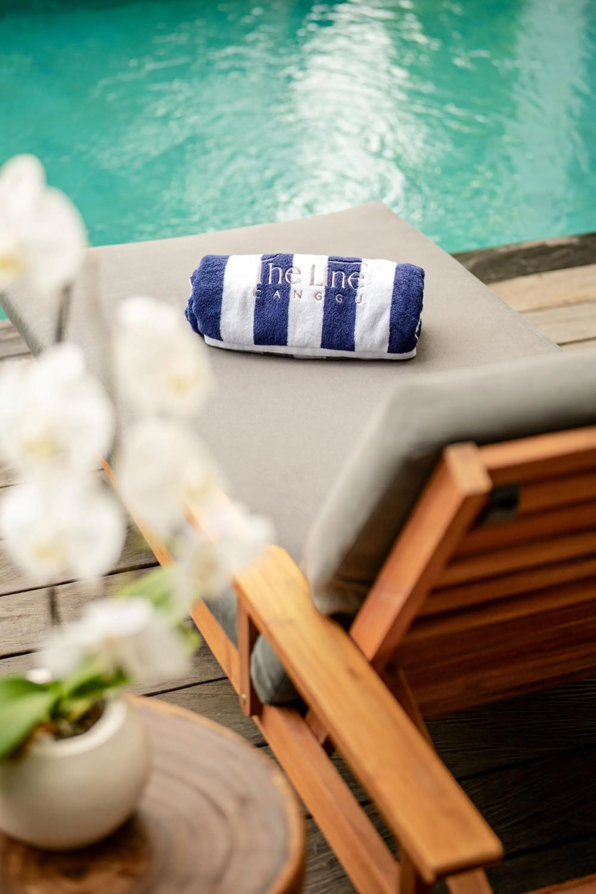 Swimming pool in The Line Canggu