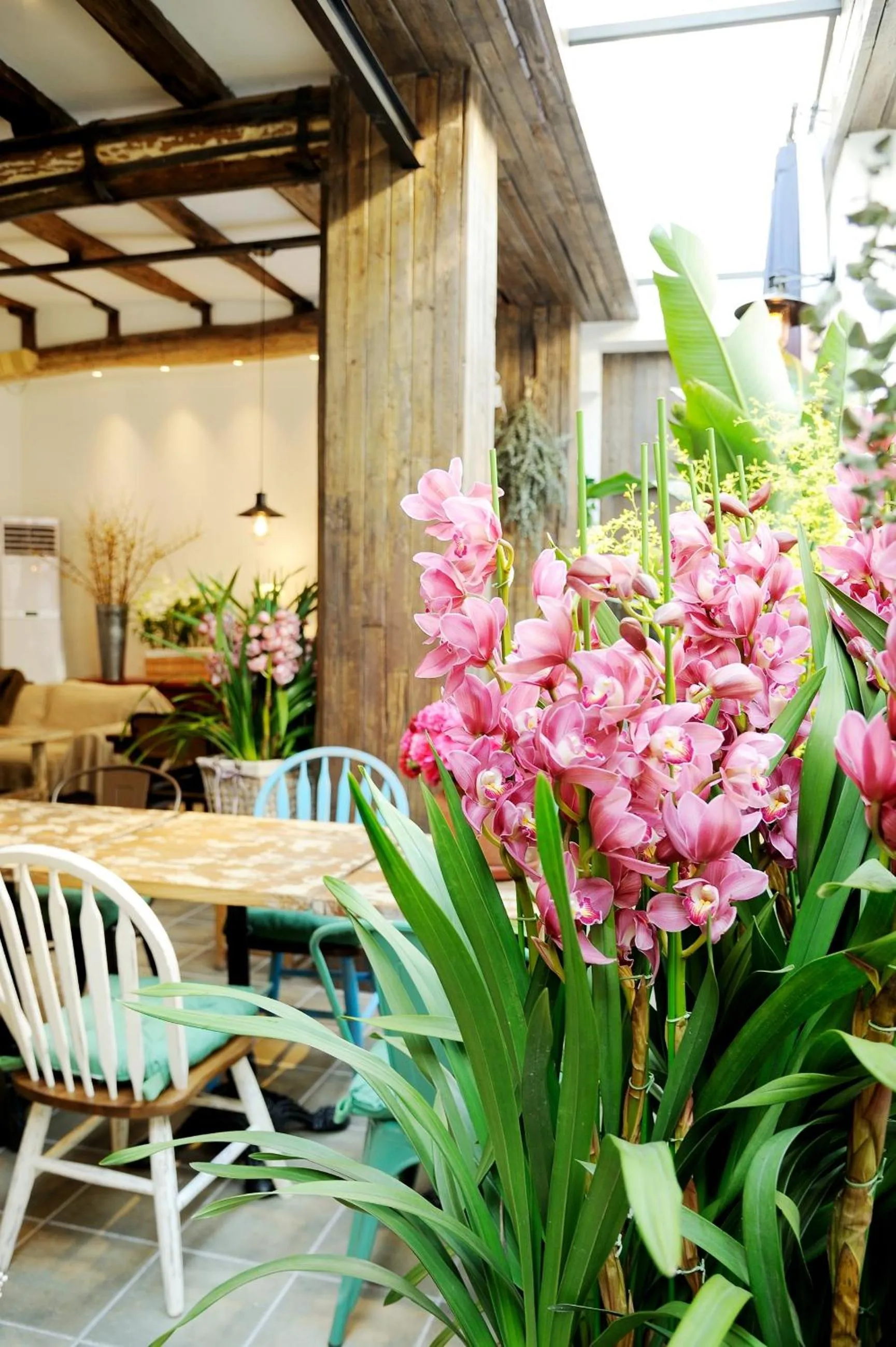 Lounge or bar in Peking Station Hostel