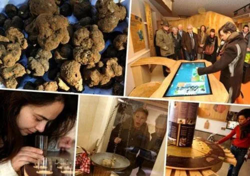 La Maison Du Bonheur