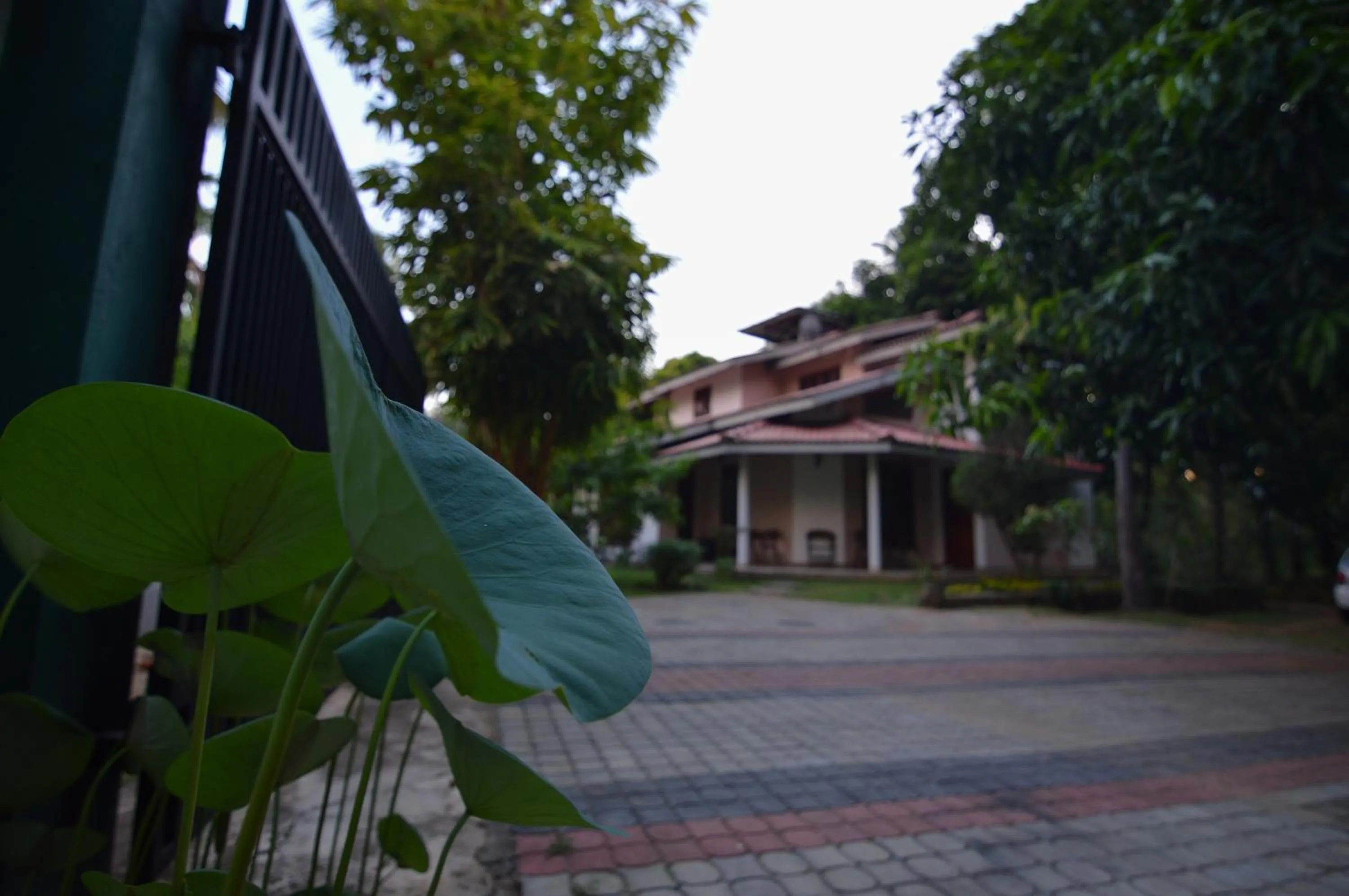 Property building in Binara Home Stay