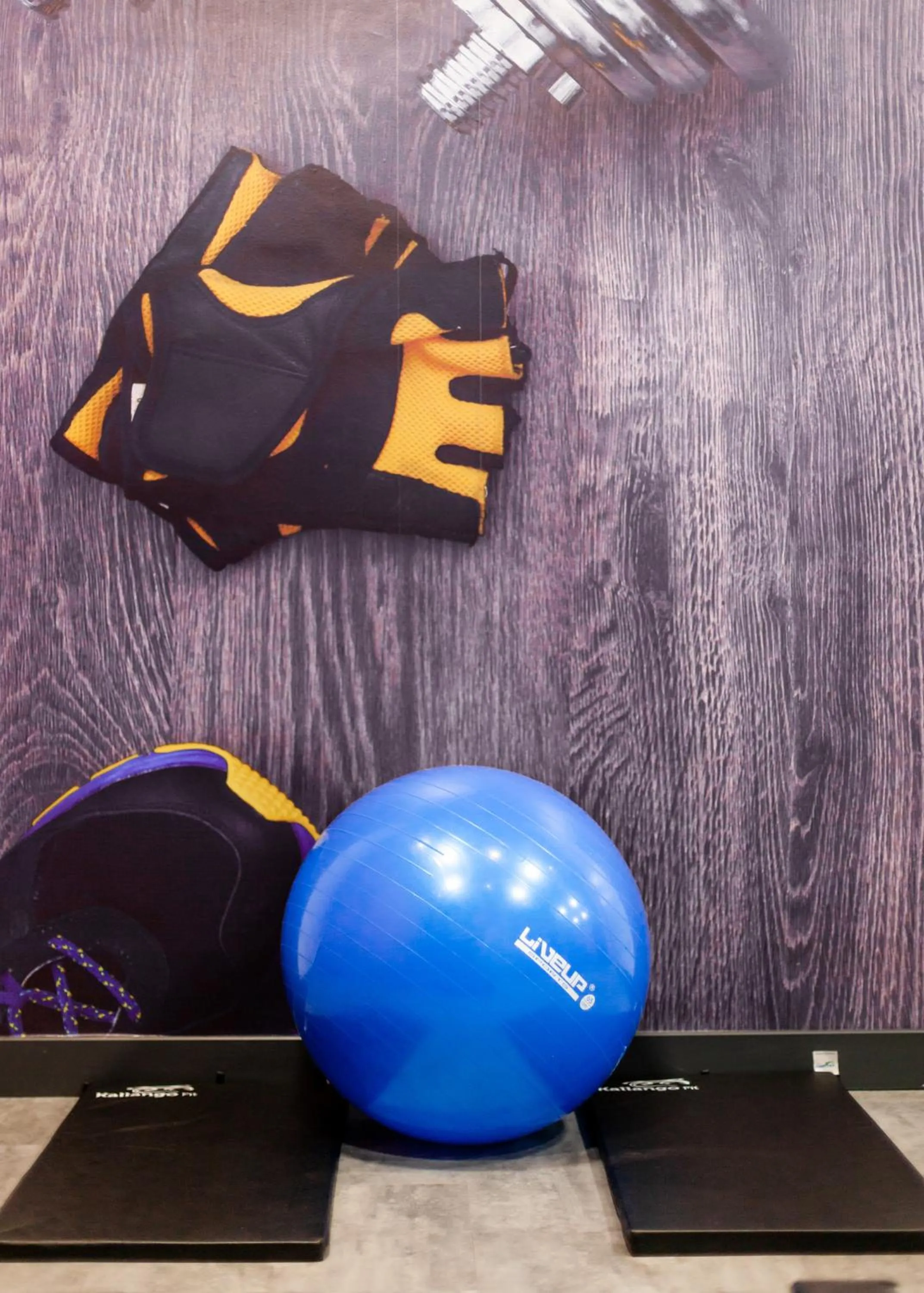 Fitness centre/facilities in Ibis Porto Alegre Assis Brasil