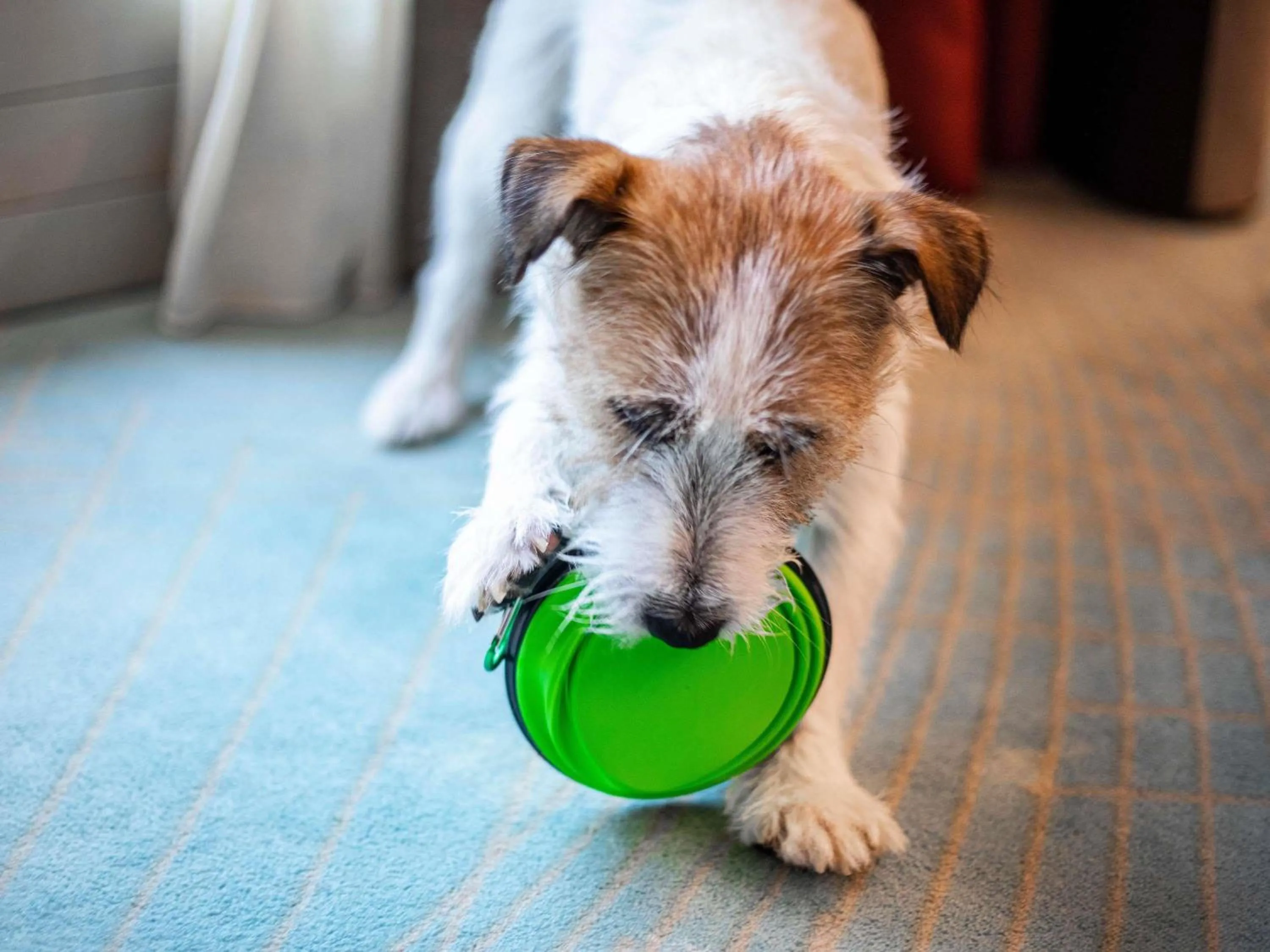 Other in Mercure Firenze Centro