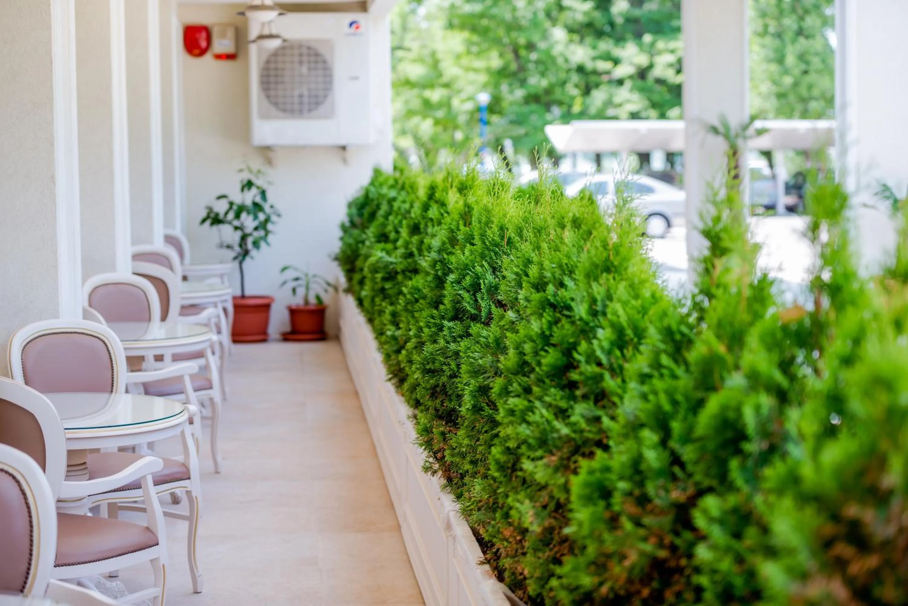 Day in Hotel Sulina International