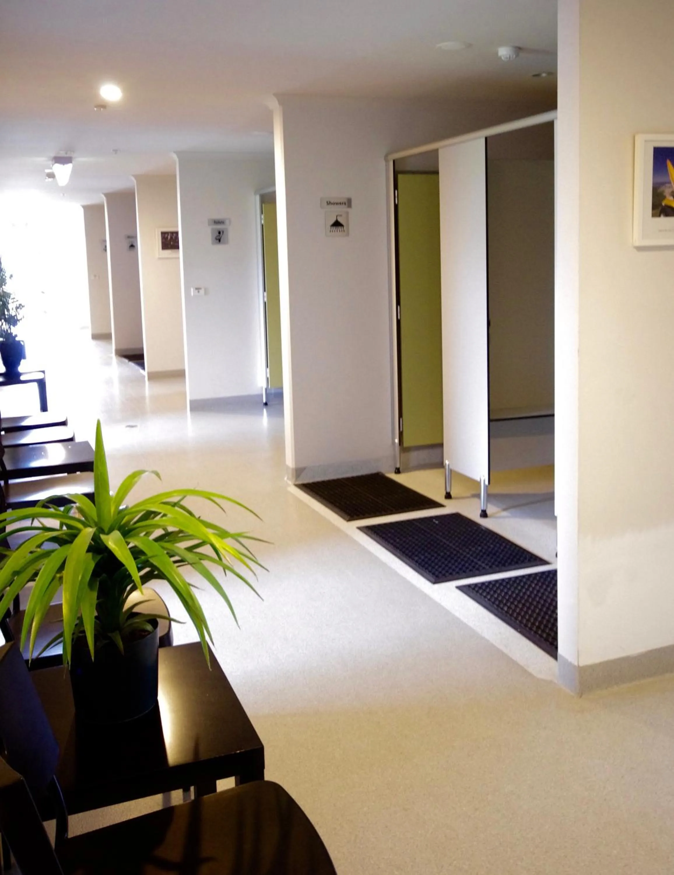 Decorative detail in Sow and Piglets Guesthouse