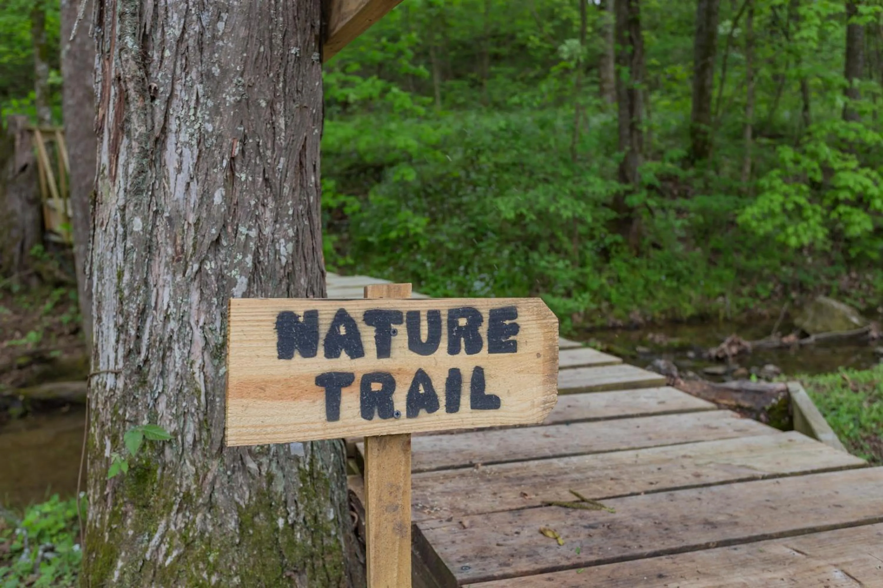 Activities in Brenda Lee History 2BR Villa Pool Hot Tub