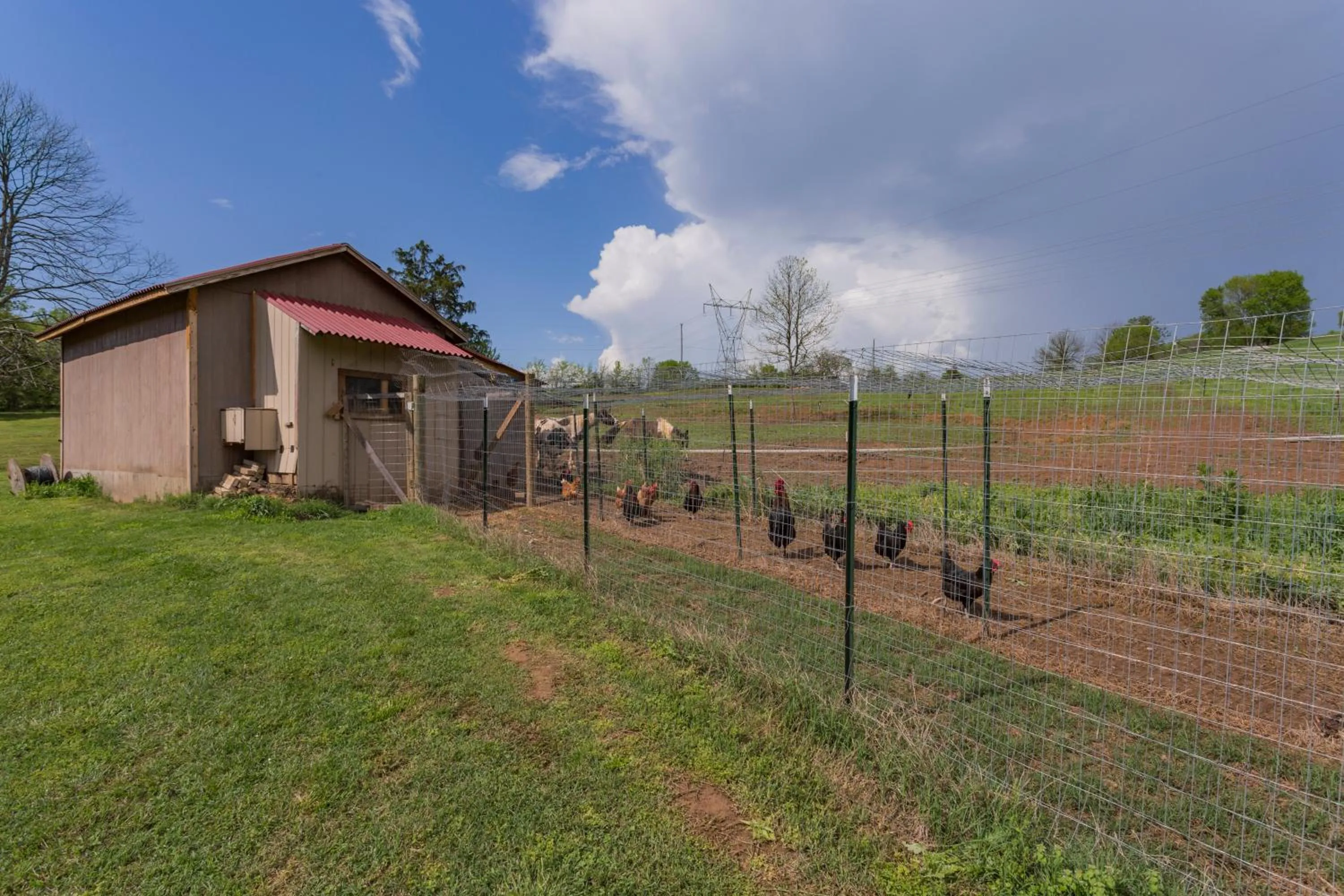 Animals in Brenda Lee History 2BR Villa Pool Hot Tub