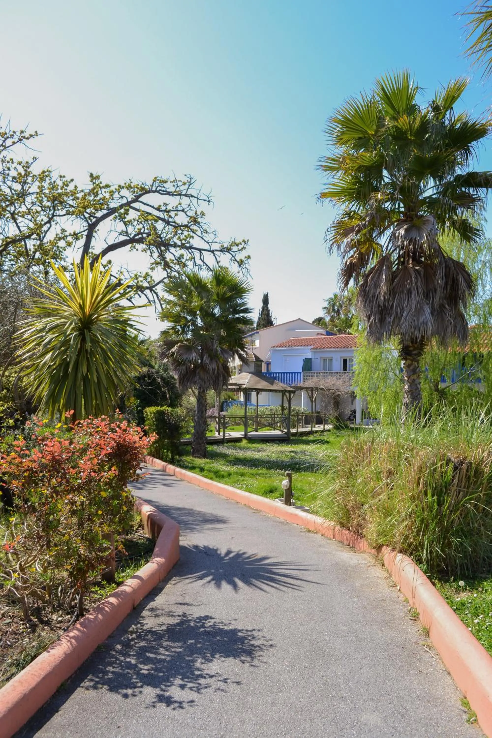 Garden in Malibu Village