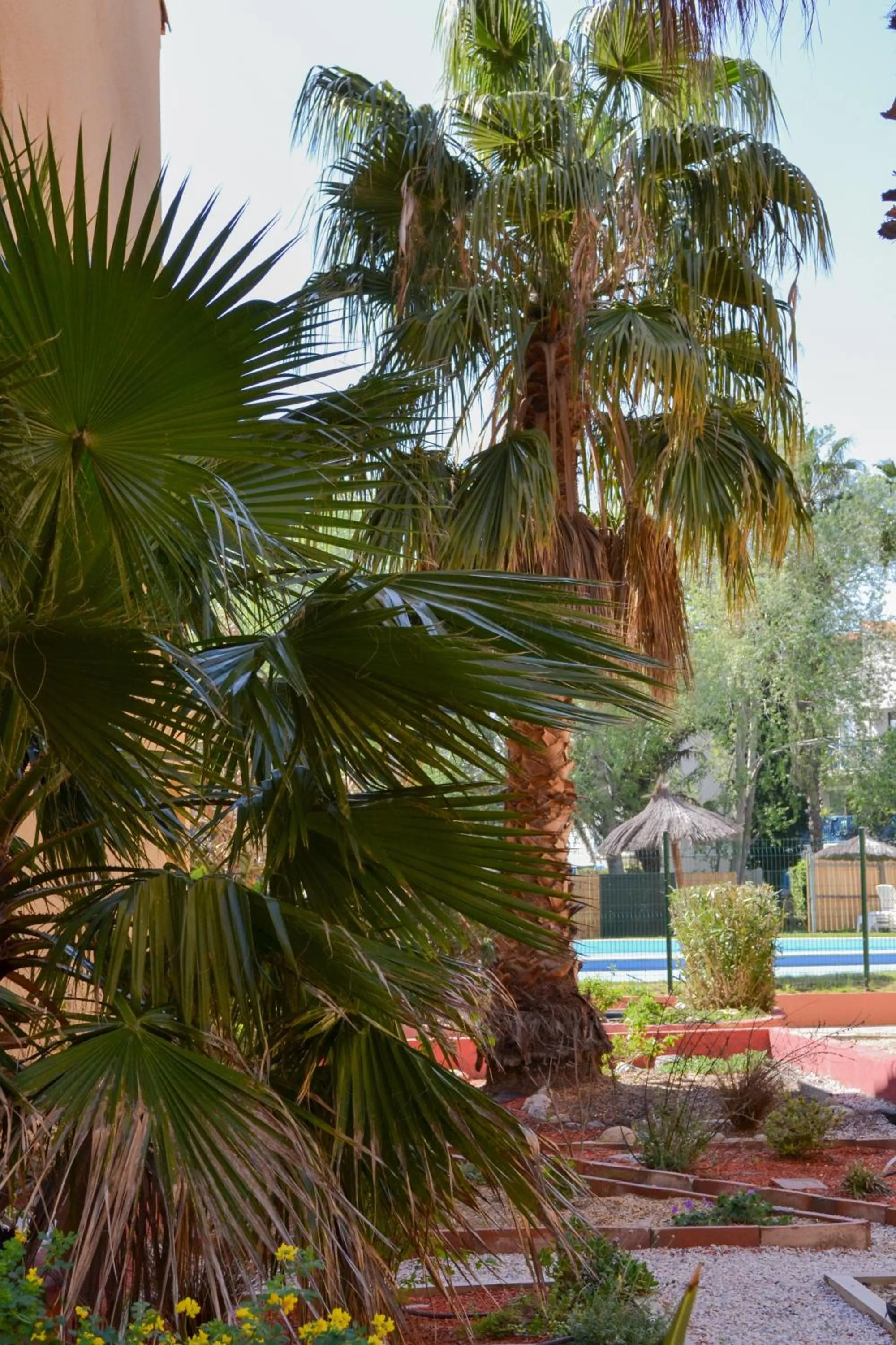 Garden in Malibu Village