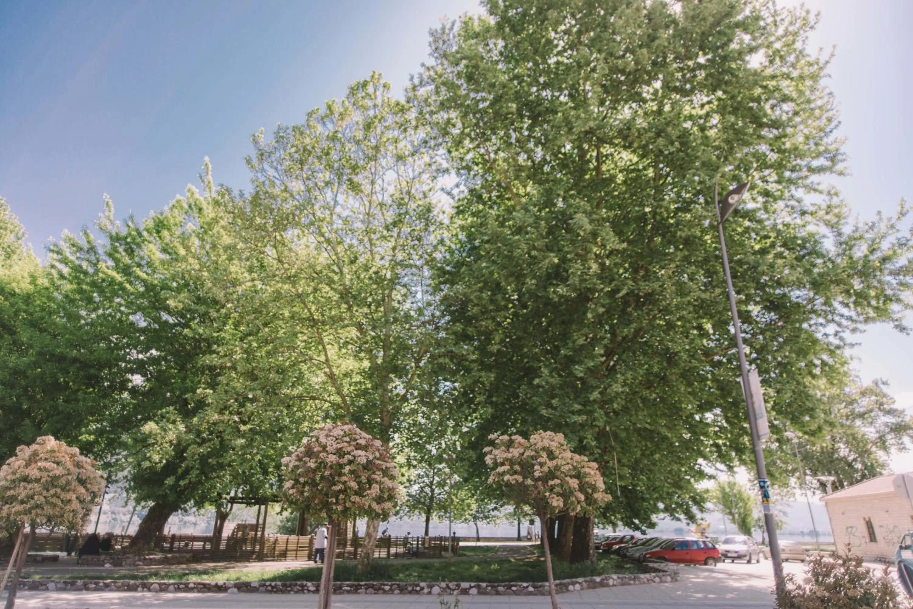 Natural landscape in Z Inn Ioannina