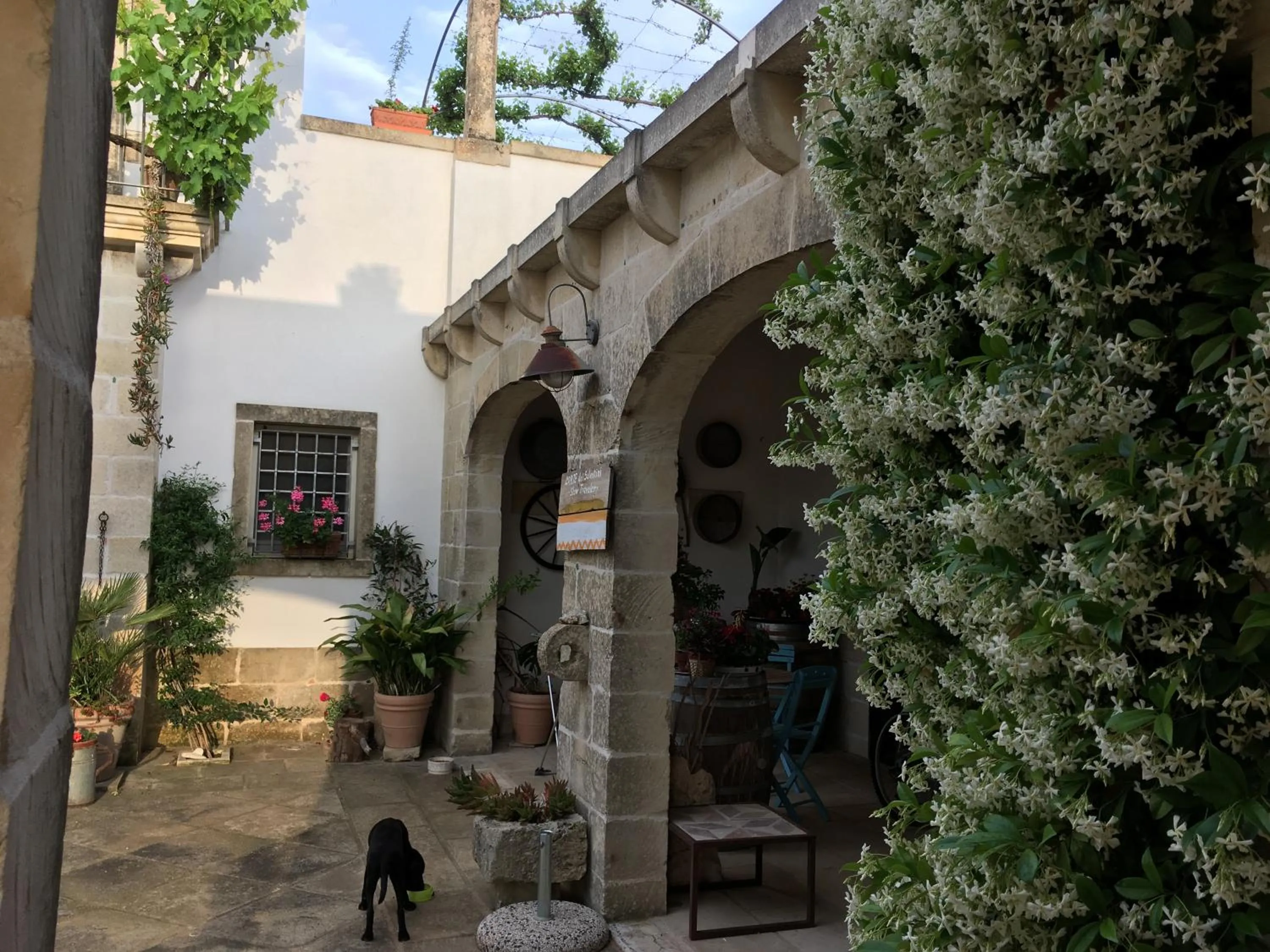 Patio in Corte dei Salentini