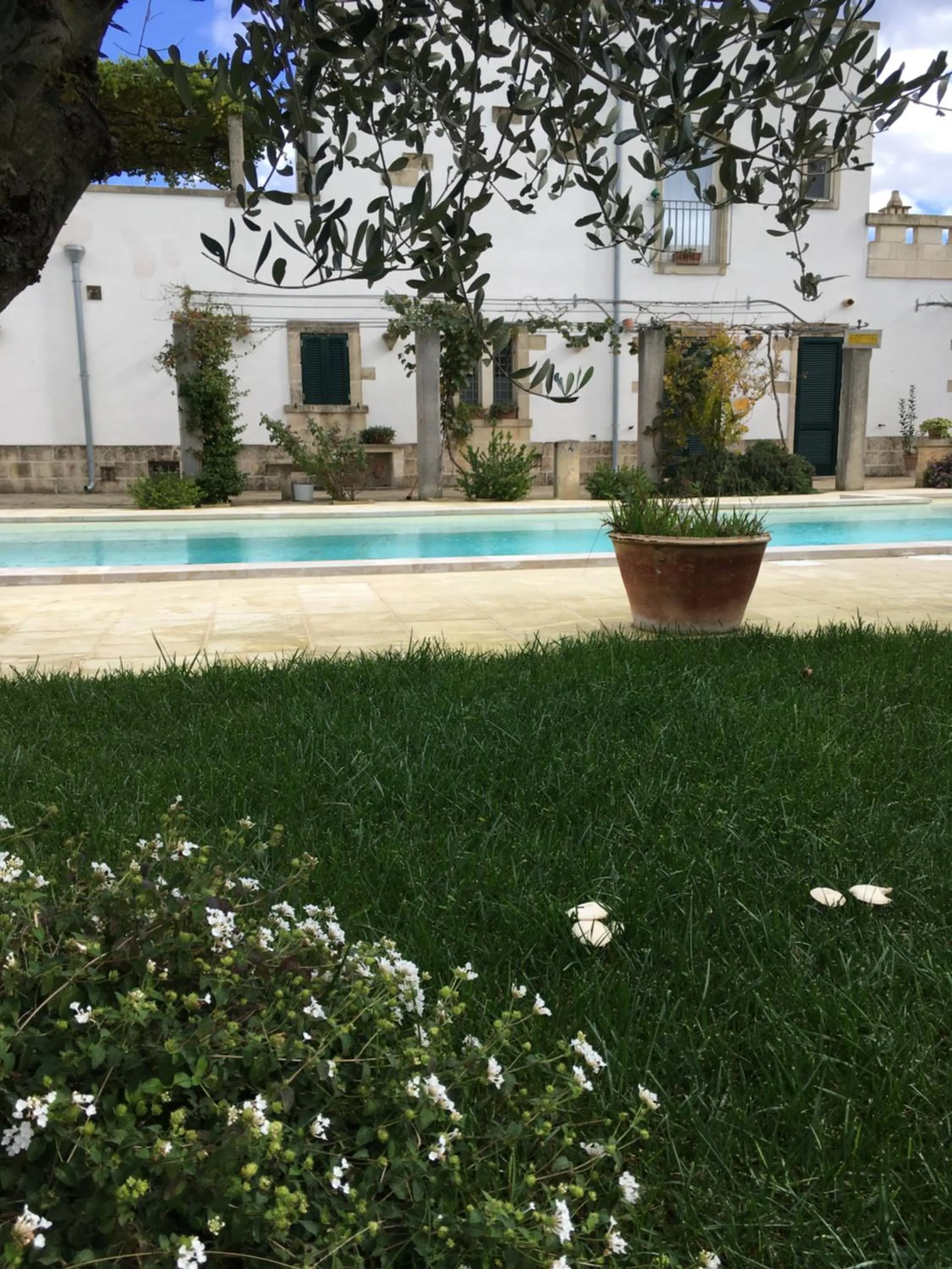 Swimming pool in Corte dei Salentini