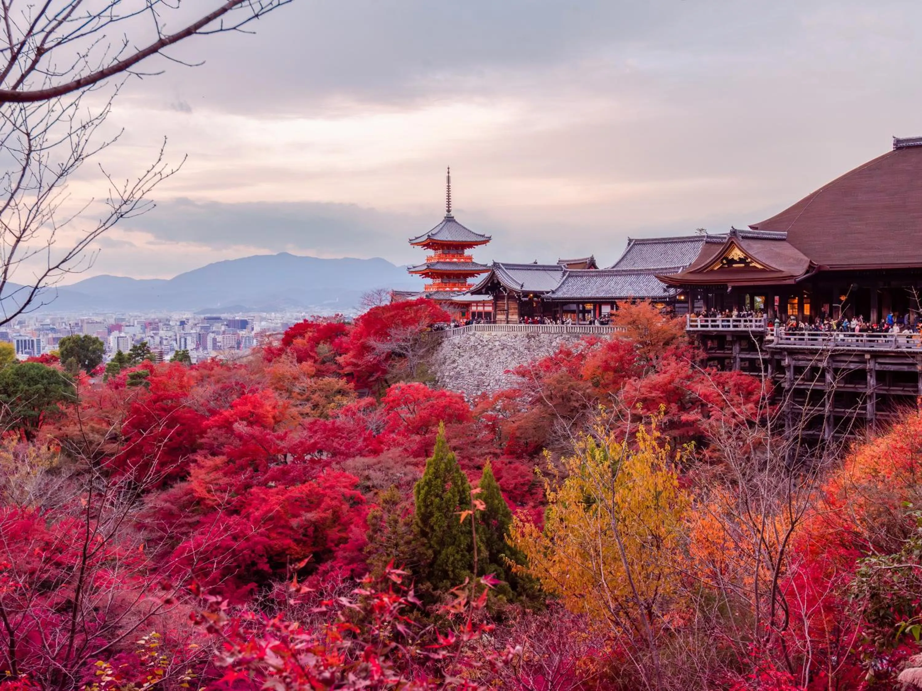 Nearby landmark in STITCH HOTEL Kyoto