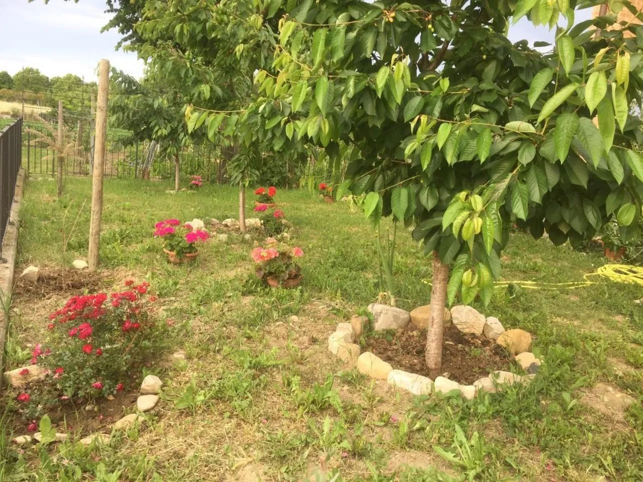 Spring in B&B San Giorgio