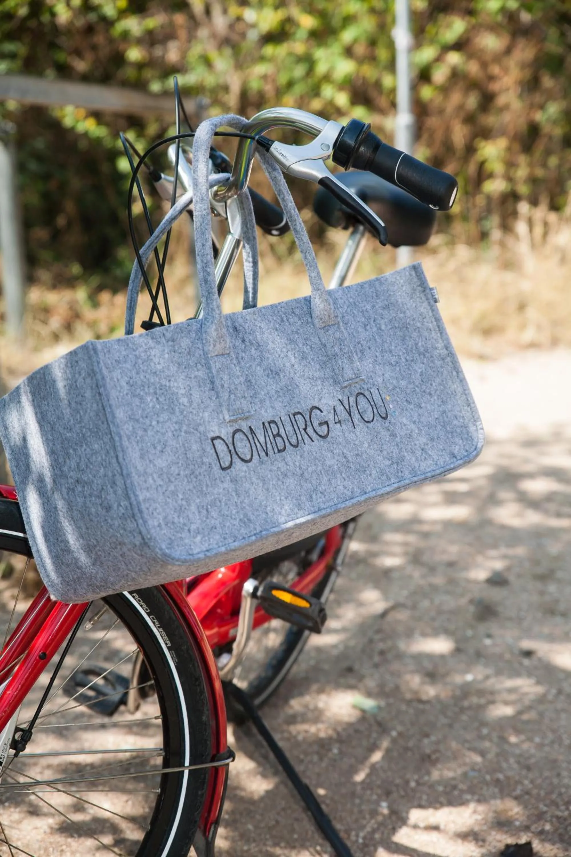 Cycling in Hotel Domburg4you