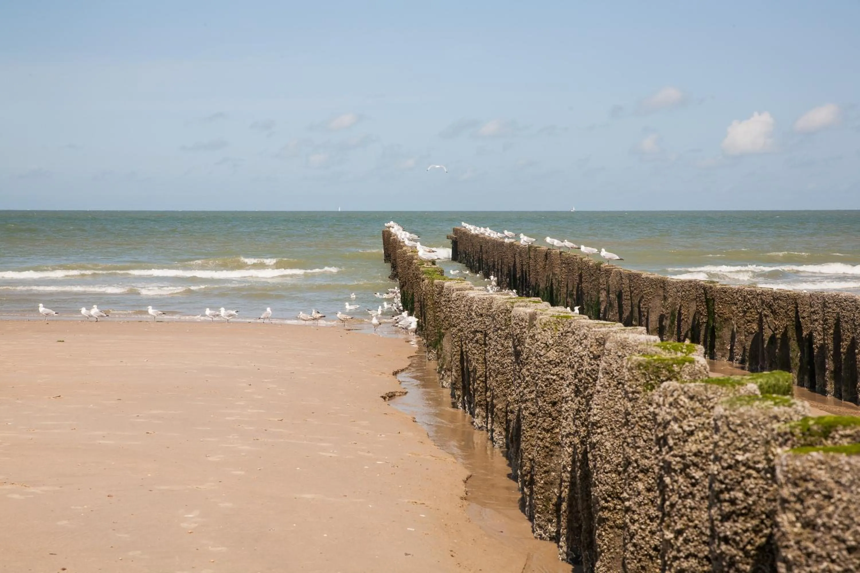 Beach in Hotel Domburg4you
