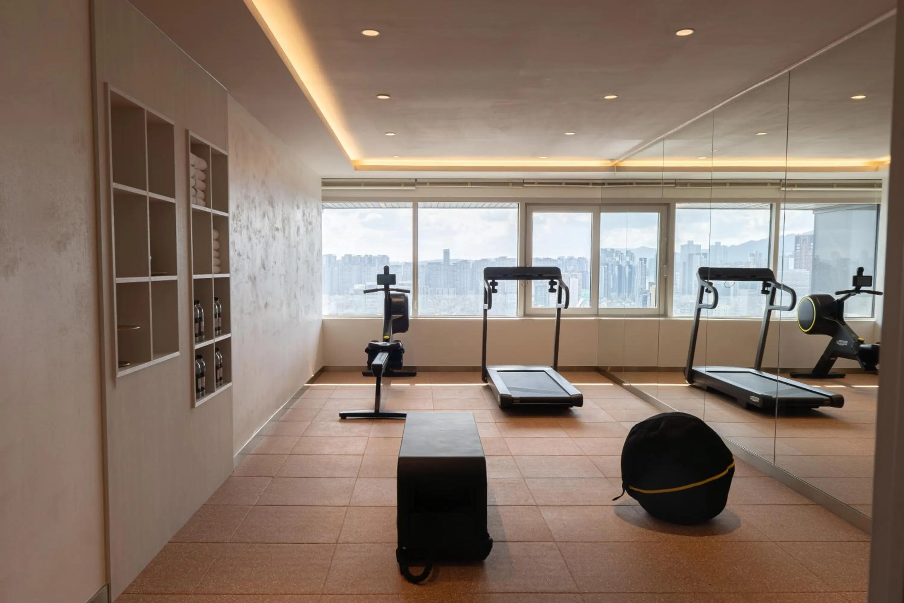 Fitness centre/facilities in Eliena Hotel Seoul Gangnam