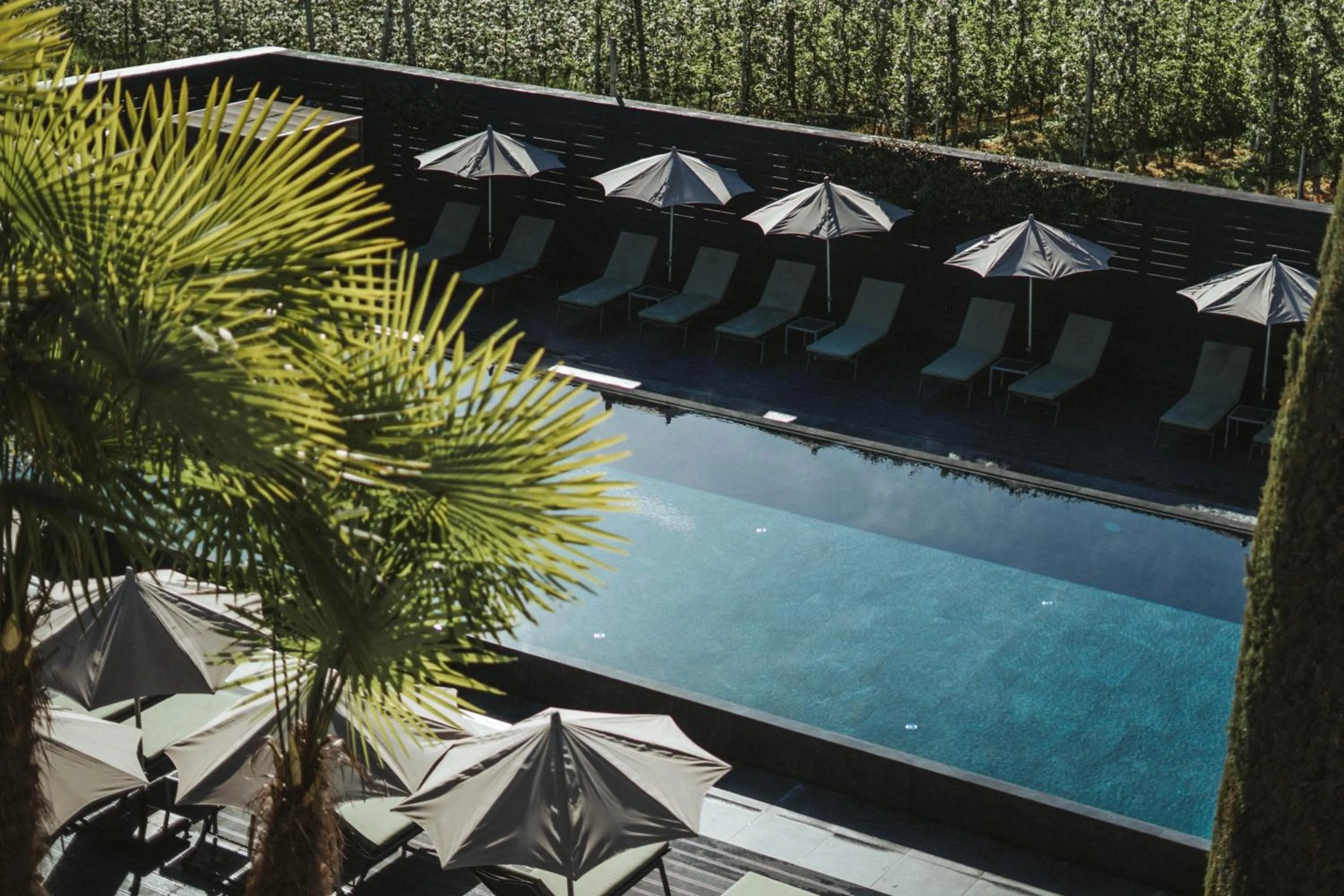 Swimming pool in Tirolensis - Luxury All Inclusive