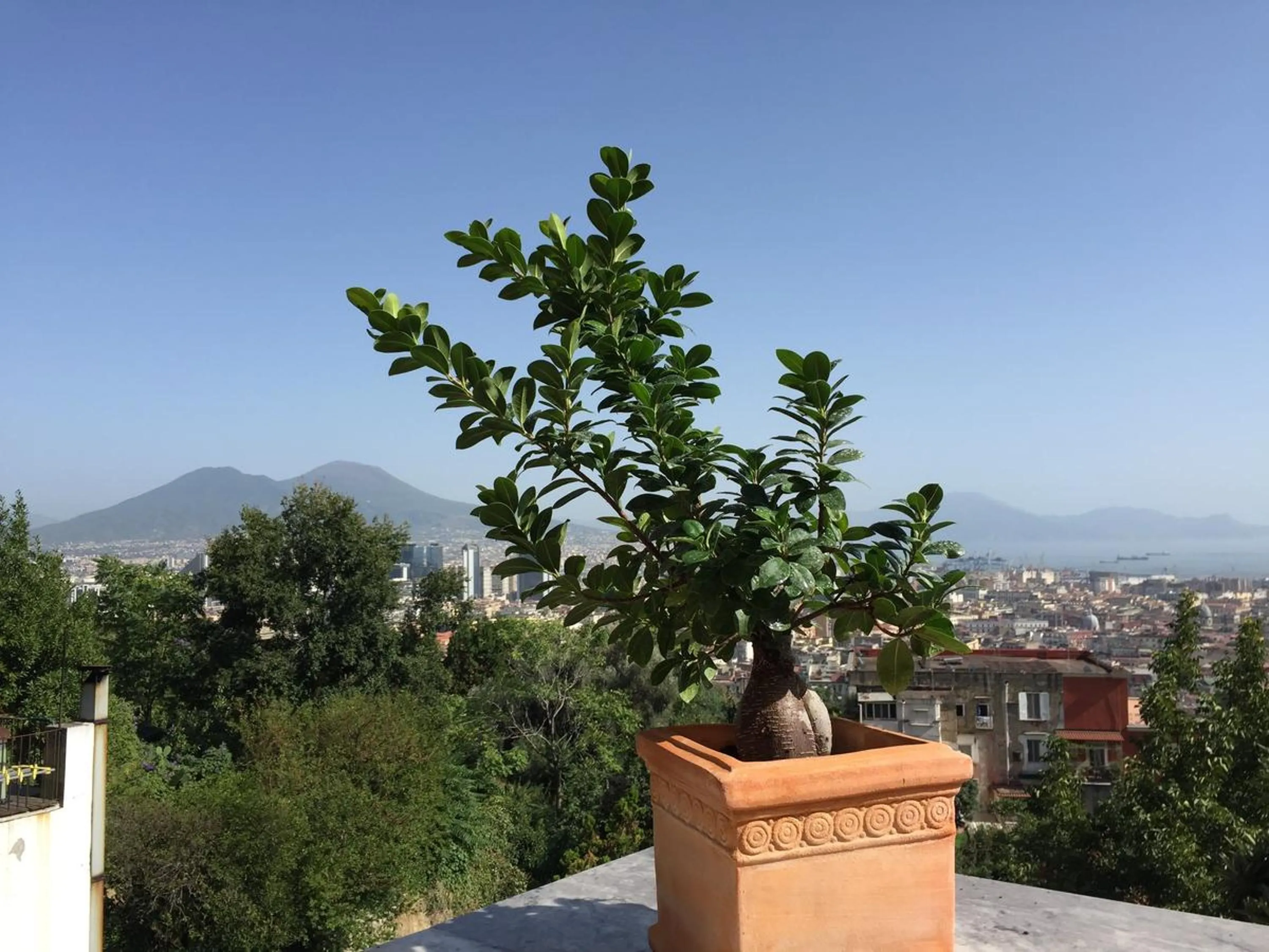 View (from property/room) in B&B La Veduta