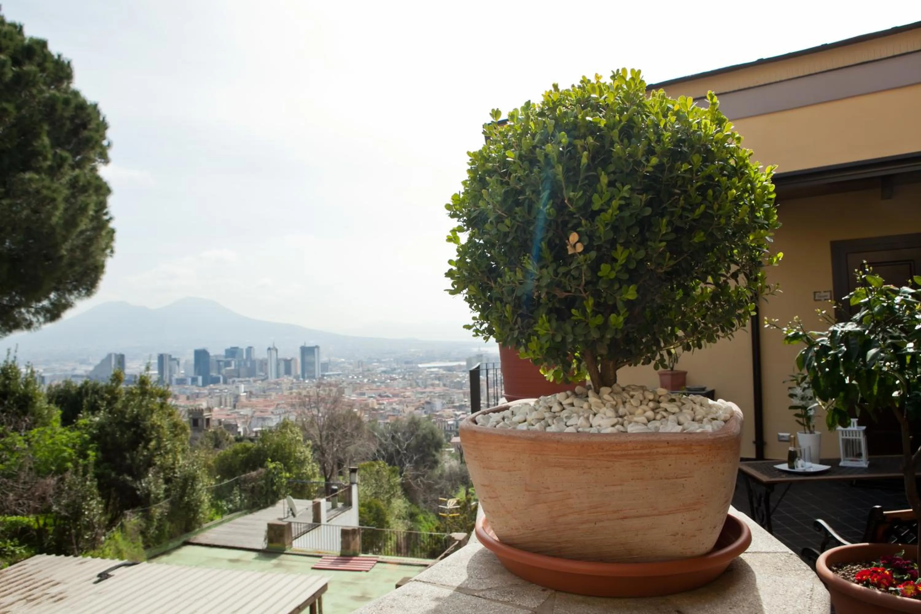 Balcony/Terrace in B&B La Veduta