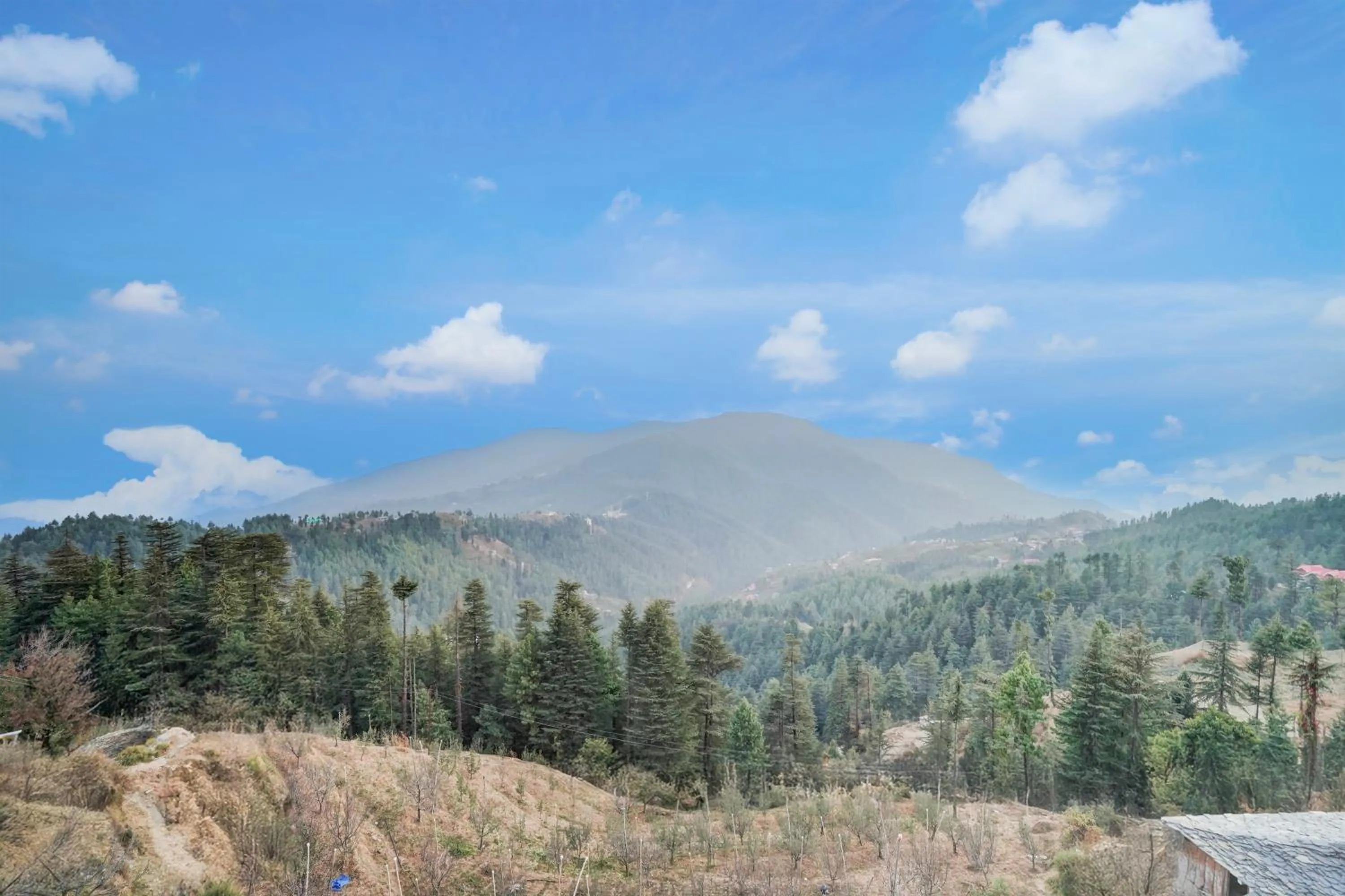Natural landscape in Sunday by CheckIn Premium 5 BHK Villa Mihika, Shimla