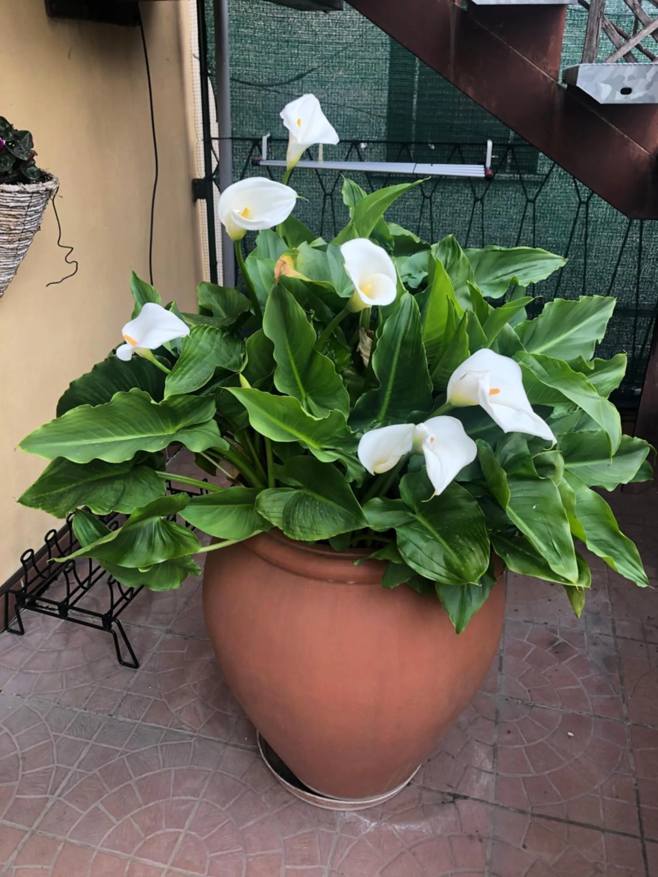 La Terrazza Appartamento turisctico Agata