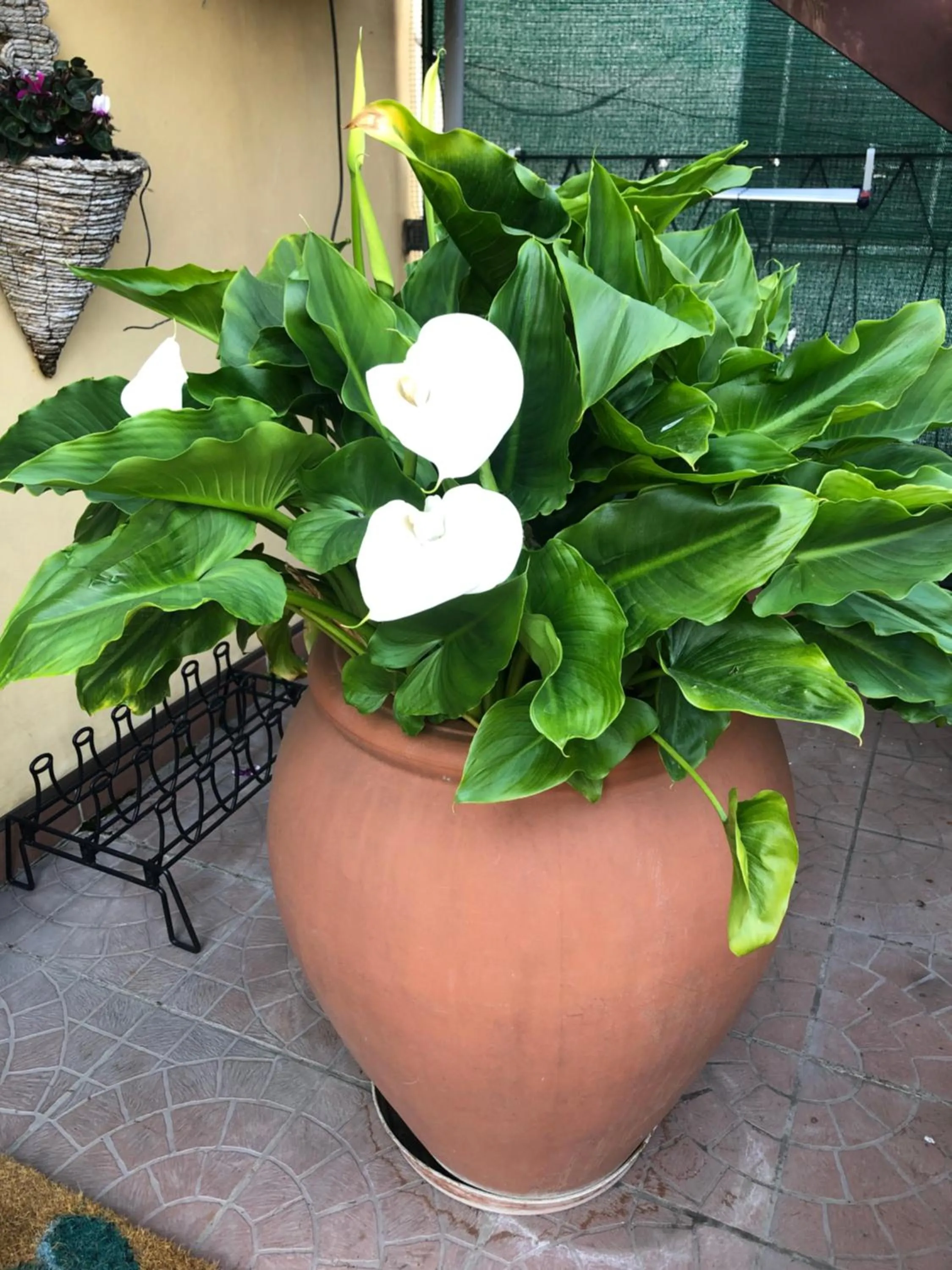 La Terrazza Appartamento turisctico Agata