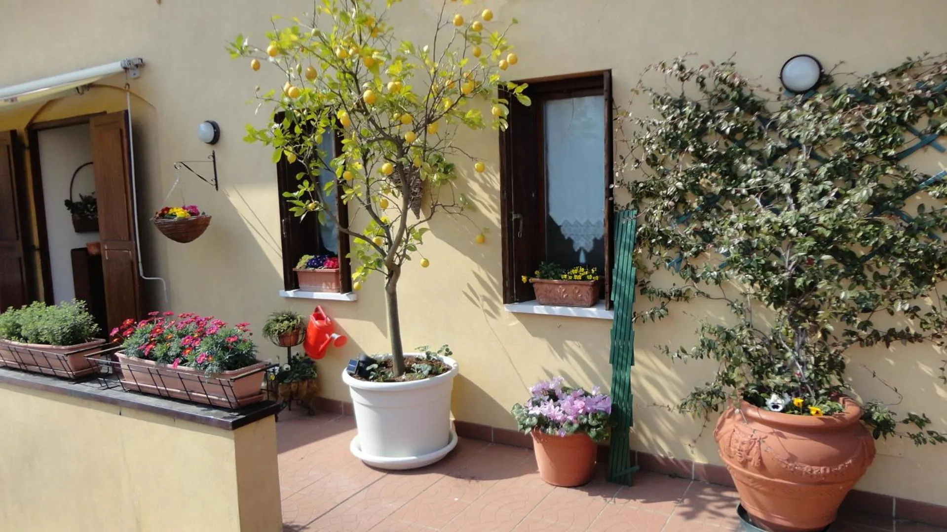 Balcony/Terrace in La Terrazza Appartamento turisctico Agata