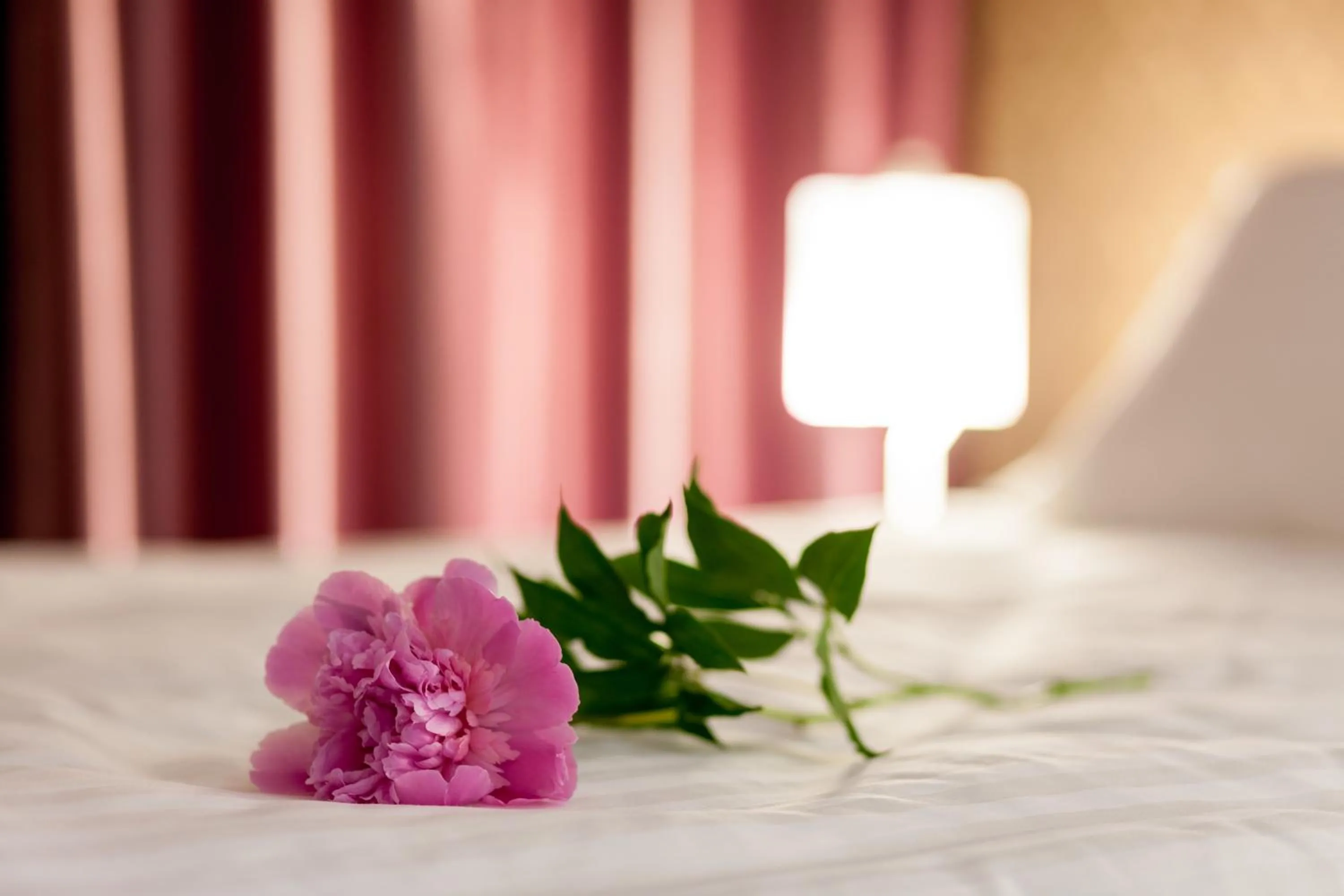 Decorative detail, Bed in Tomis Garden Apartments Mamaia