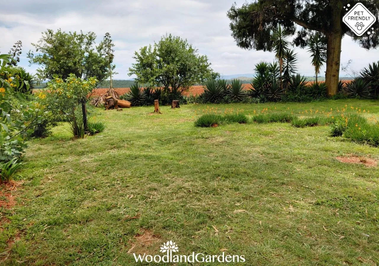 Garden in Woodland Gardens Self catering Pet Friendly Lodge