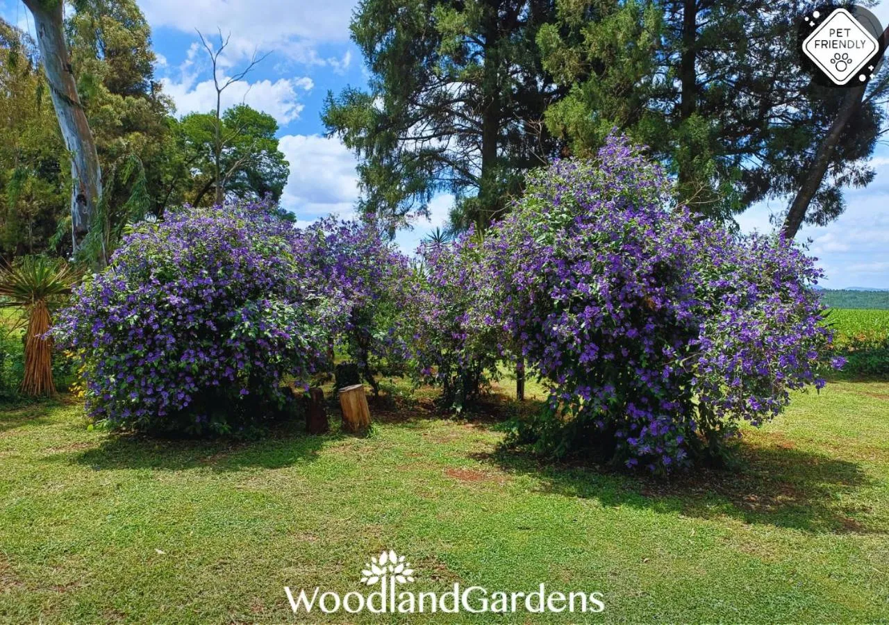 Garden in Woodland Gardens Self catering Pet Friendly Lodge