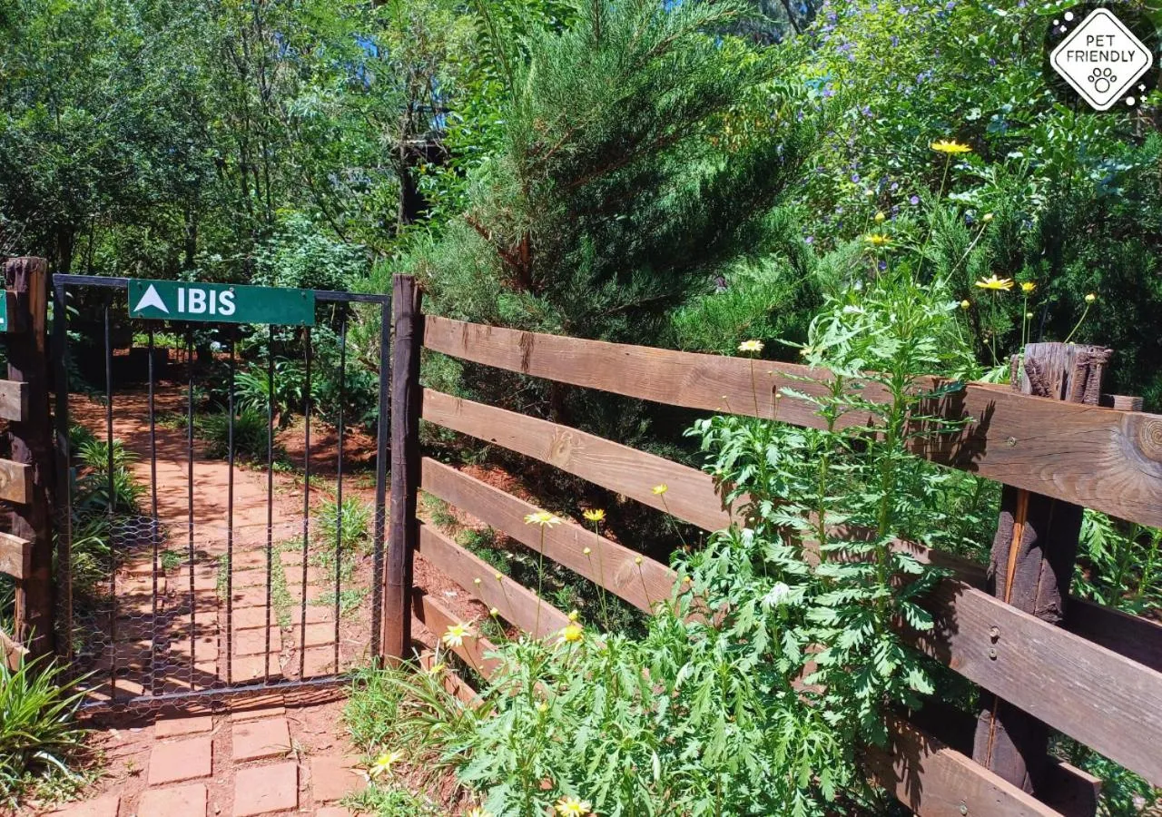 Garden in Woodland Gardens Self catering Pet Friendly Lodge