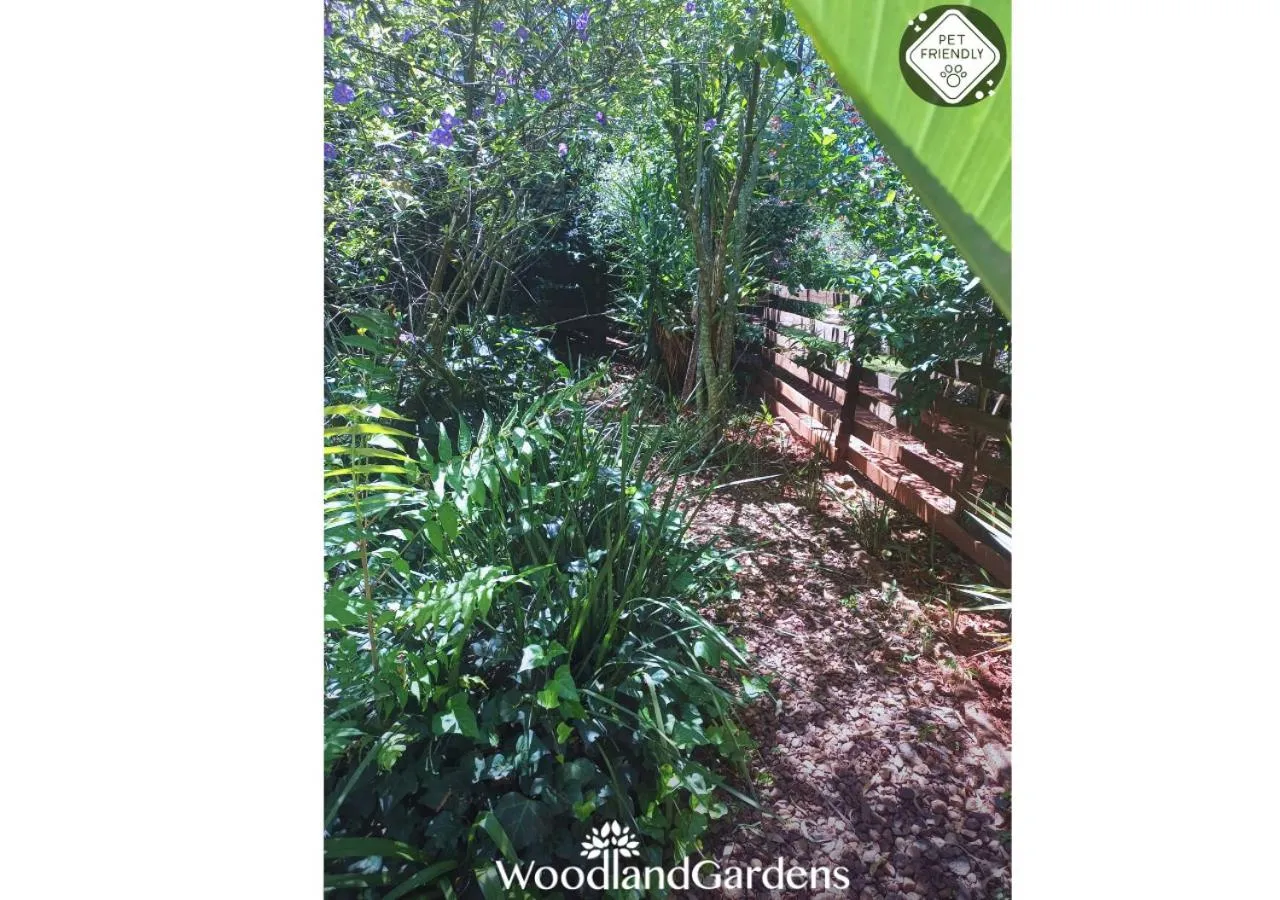 Garden in Woodland Gardens Self catering Pet Friendly Lodge